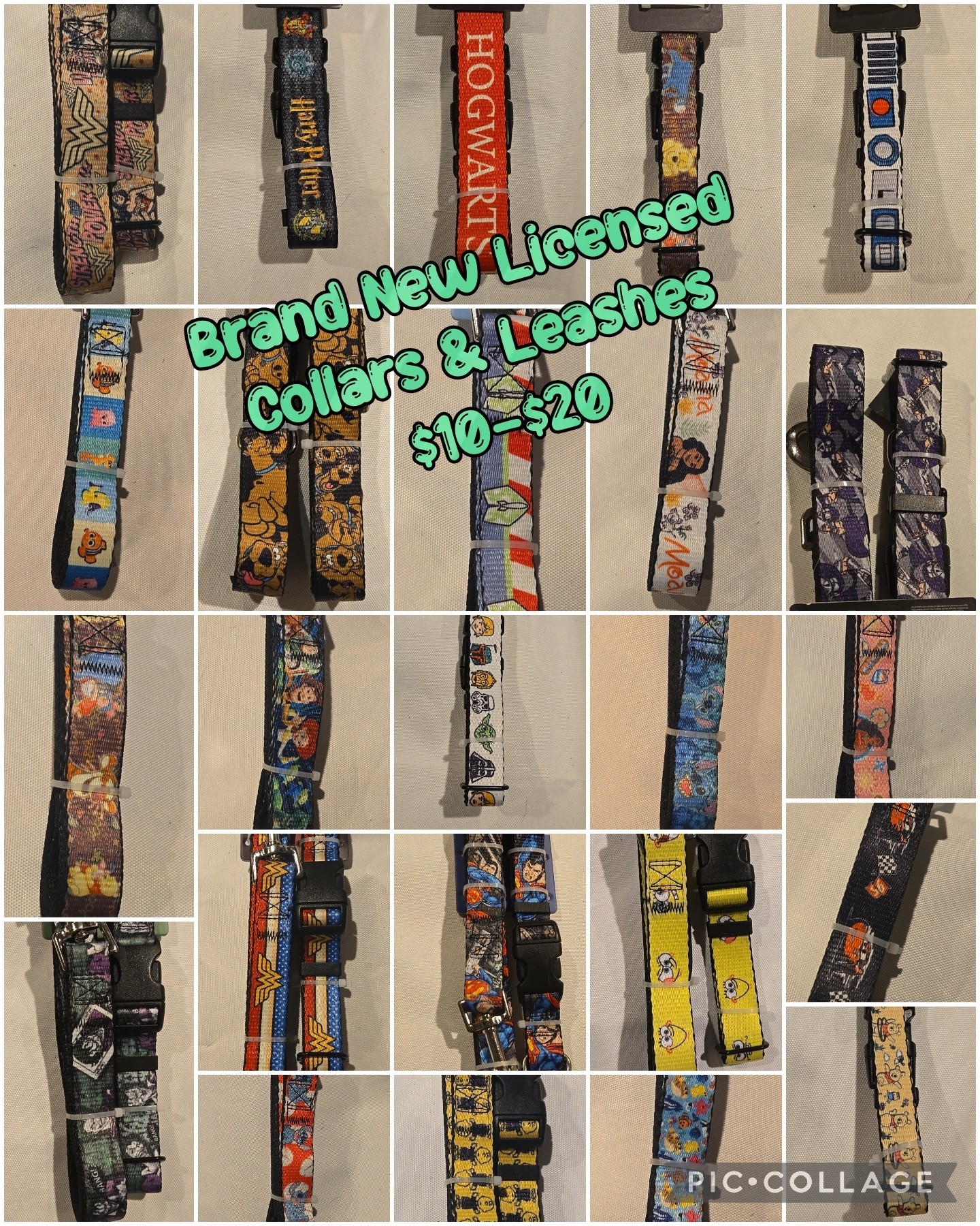 A Pet's Tale Chester