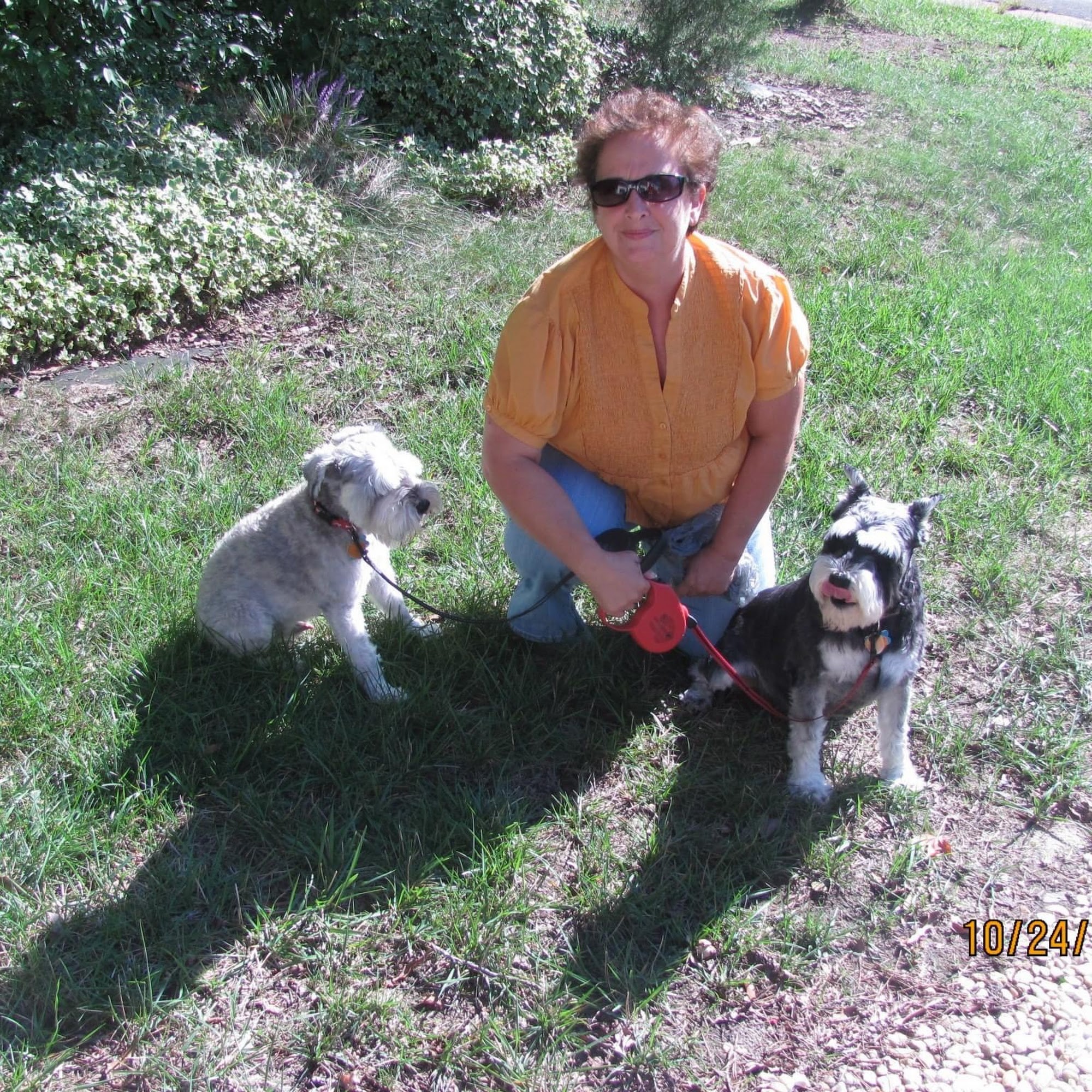 All For Cobalt In Home Pet Care Chesterfield