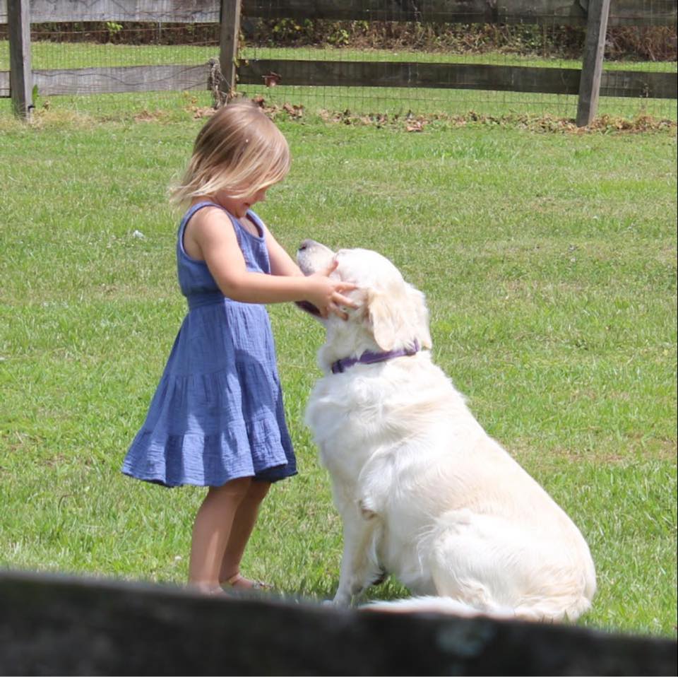 Kennels at Winterpock, Inc. Chesterfield