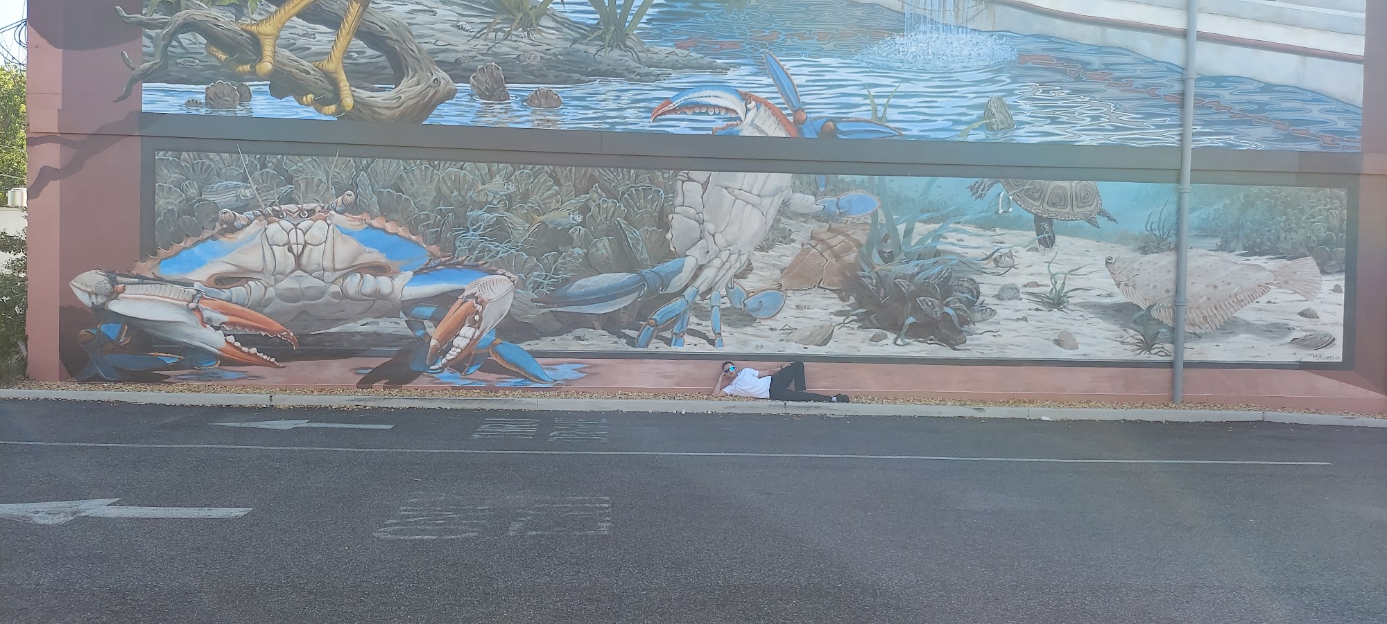 Chincoteague Fisheries