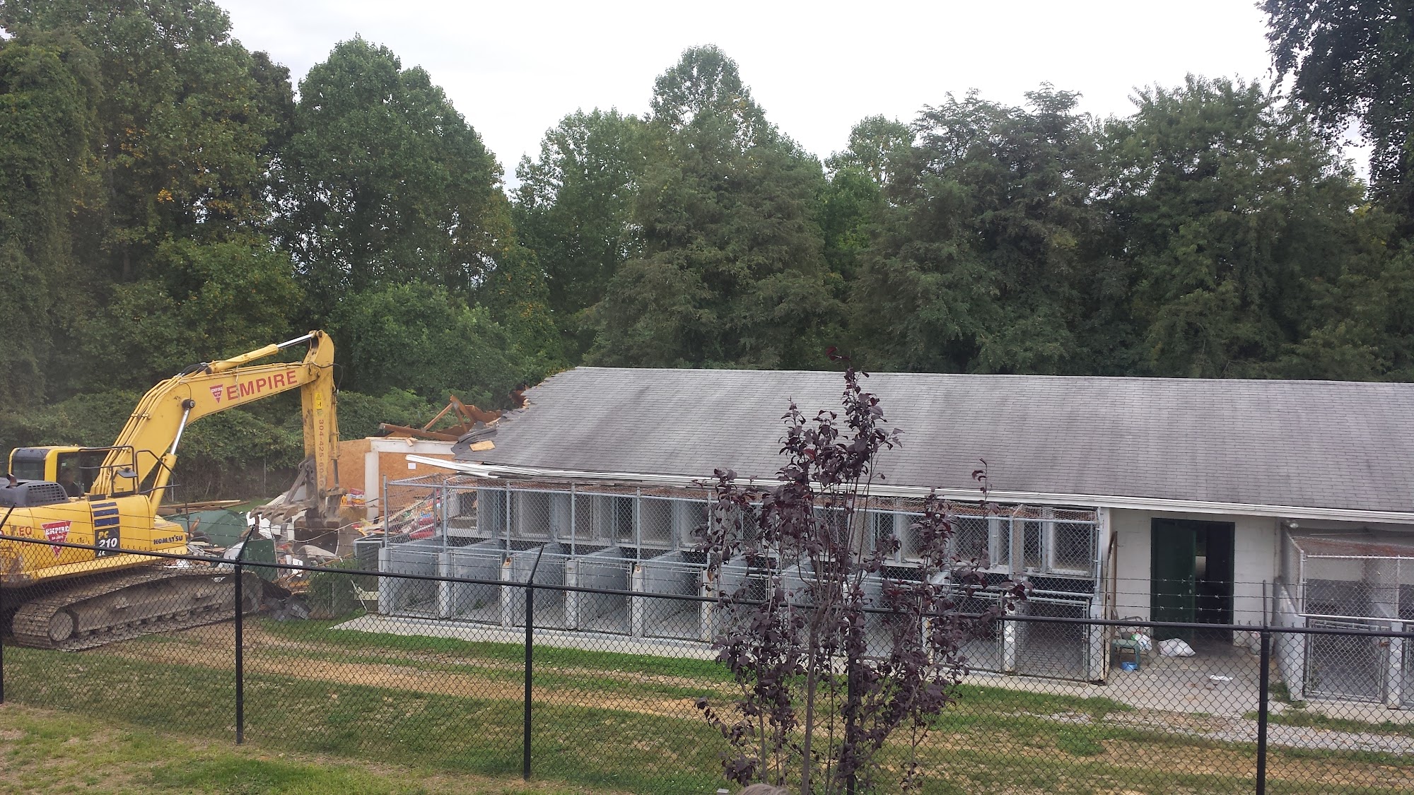 Montgomery County Animal Care and Adoption Center Christiansburg