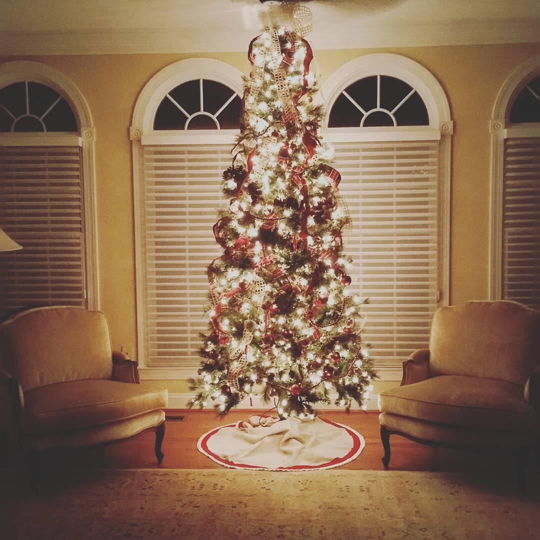 Animal Clinic of Clifton Clifton