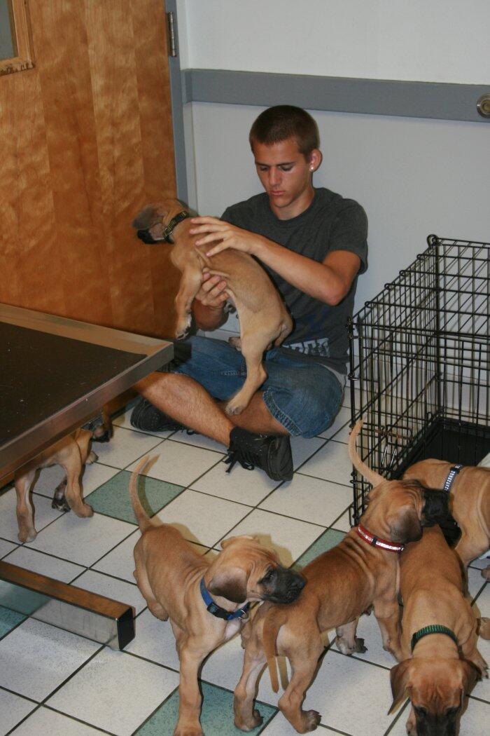 VCA Animal Care Associates Colonial Heights