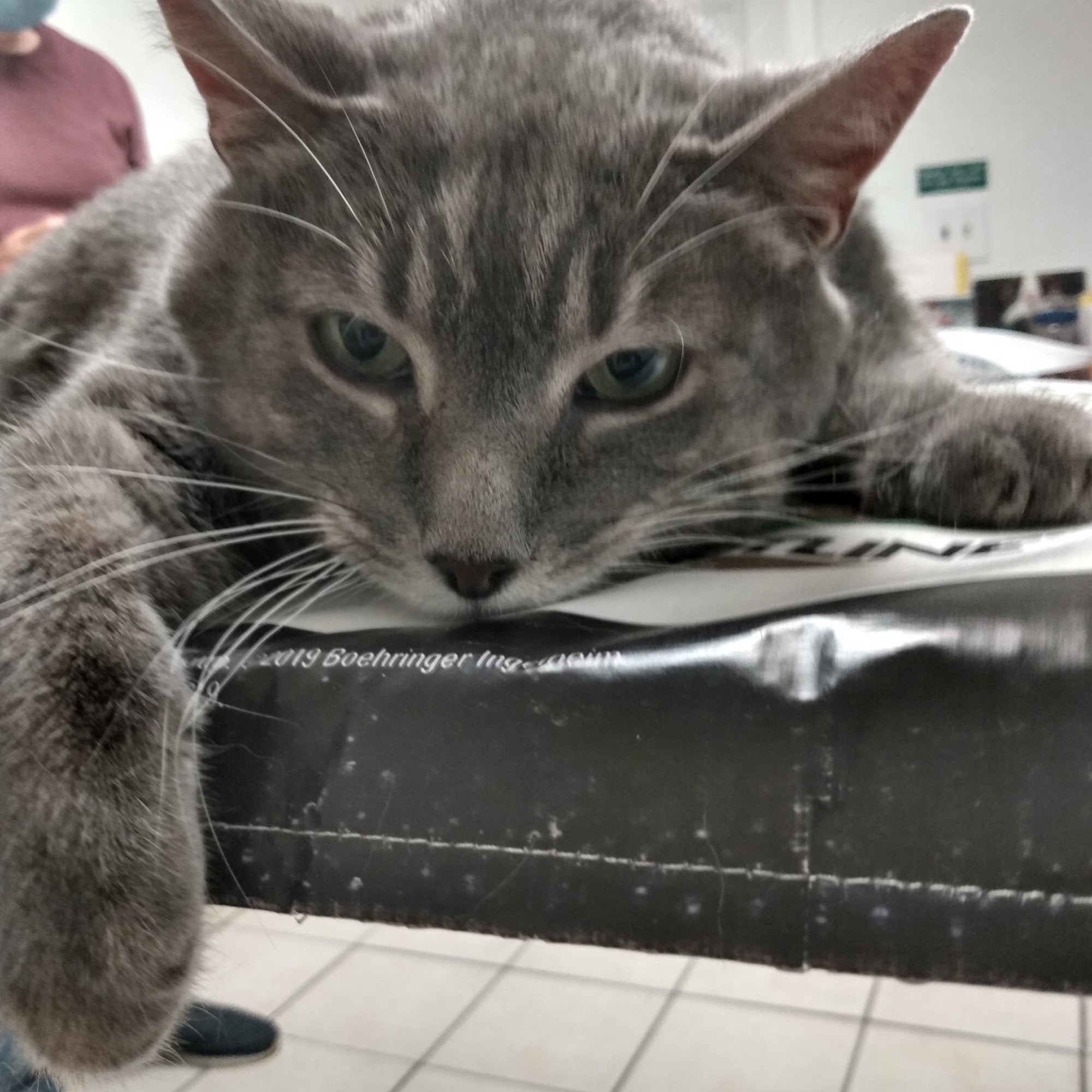 Colonial Heights Veterinary Hospital Colonial Heights