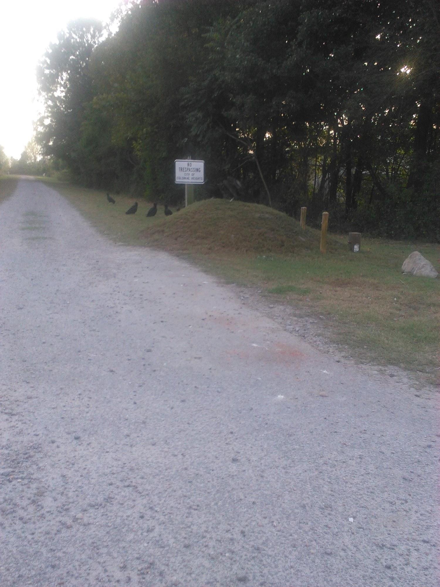 Colonial Heights Animal Shelter Colonial Heights