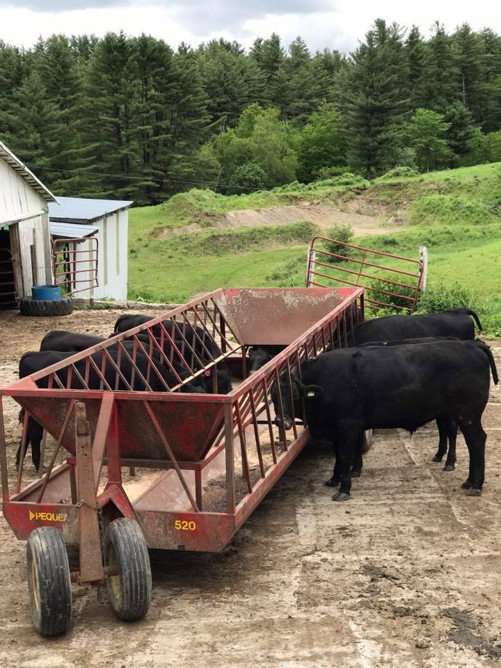 Copper Hill Farms