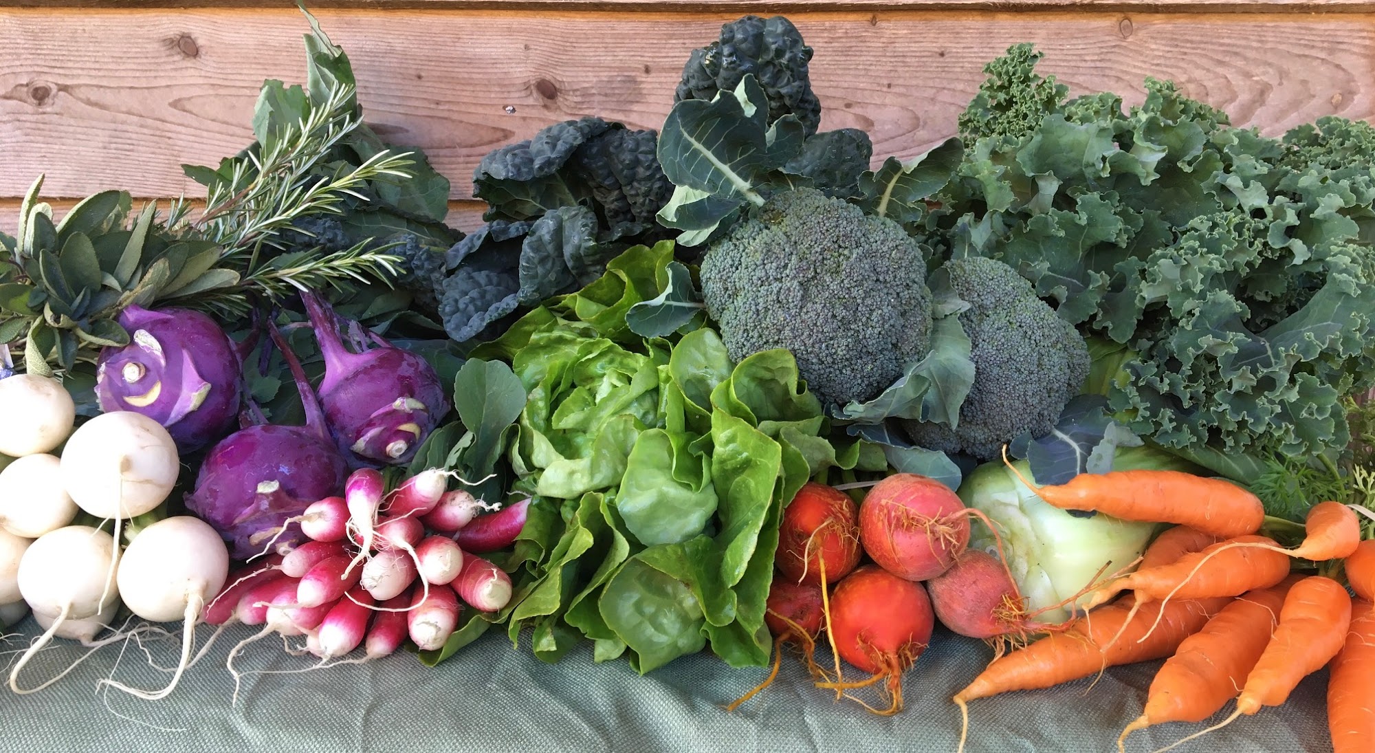 Patchwork Family Farm Copper Hill