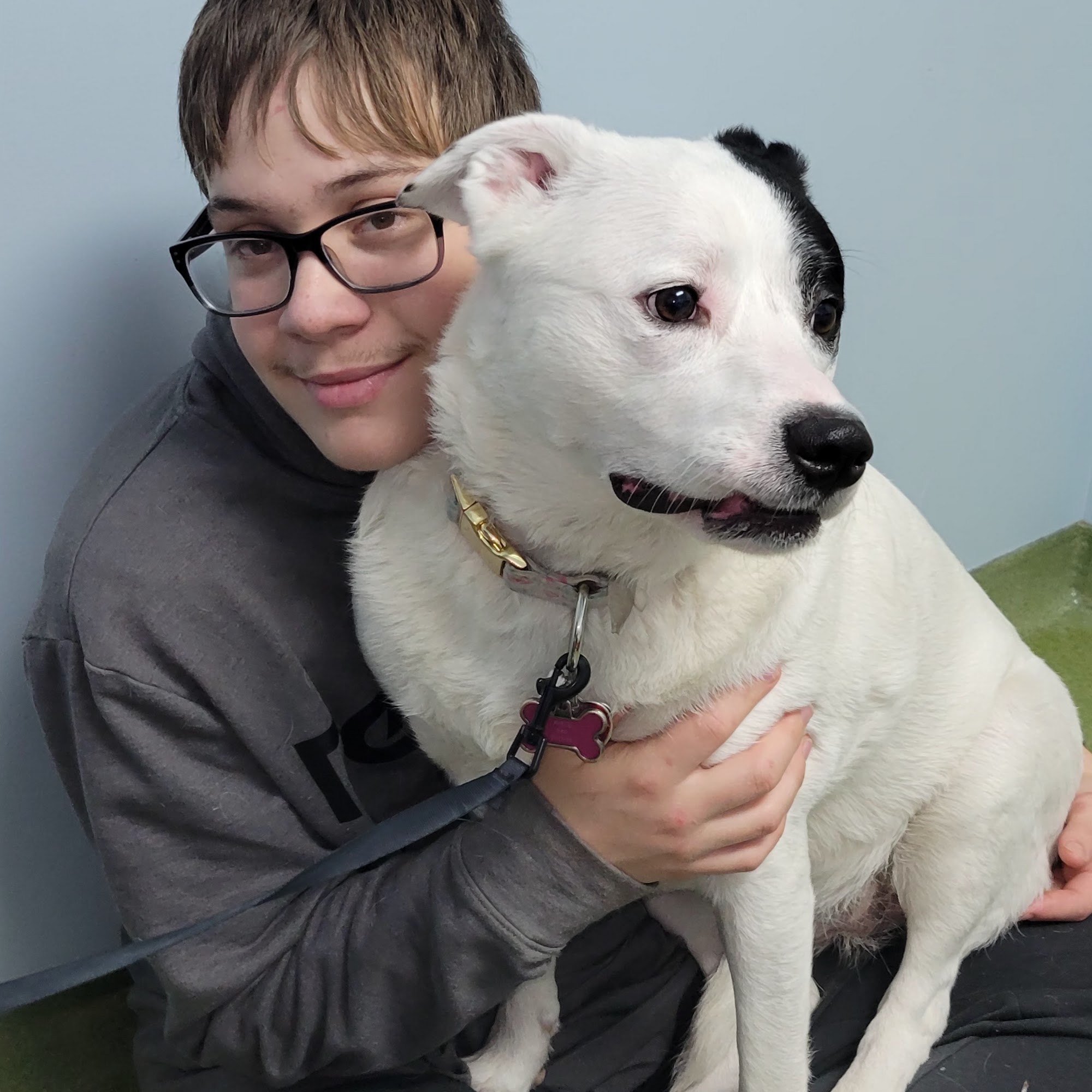 Dr. Cook DVM, CVA Crozet