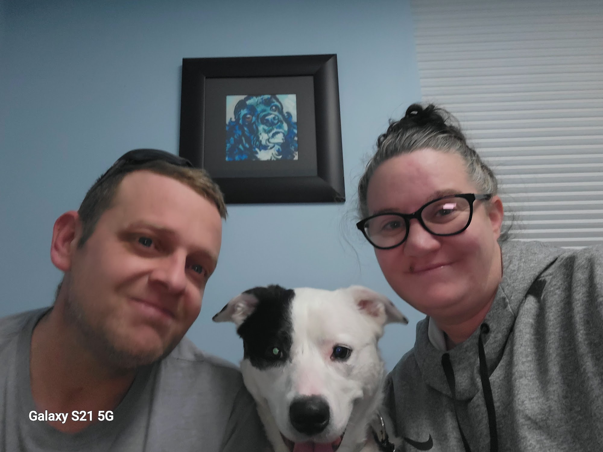 Dr. Cook DVM, CVA Crozet