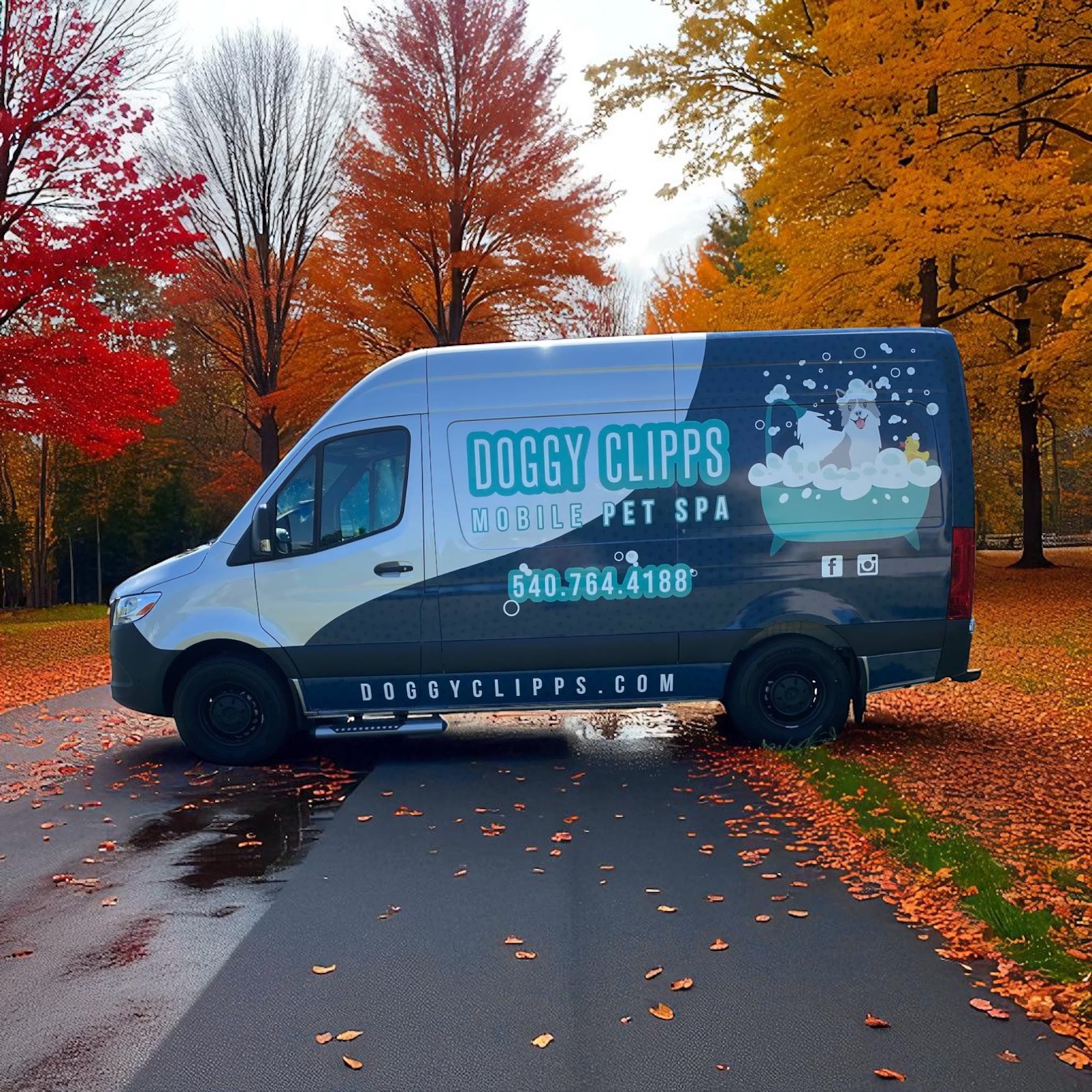 Doggy Clipps - Salon & Mobile Grooming Culpeper