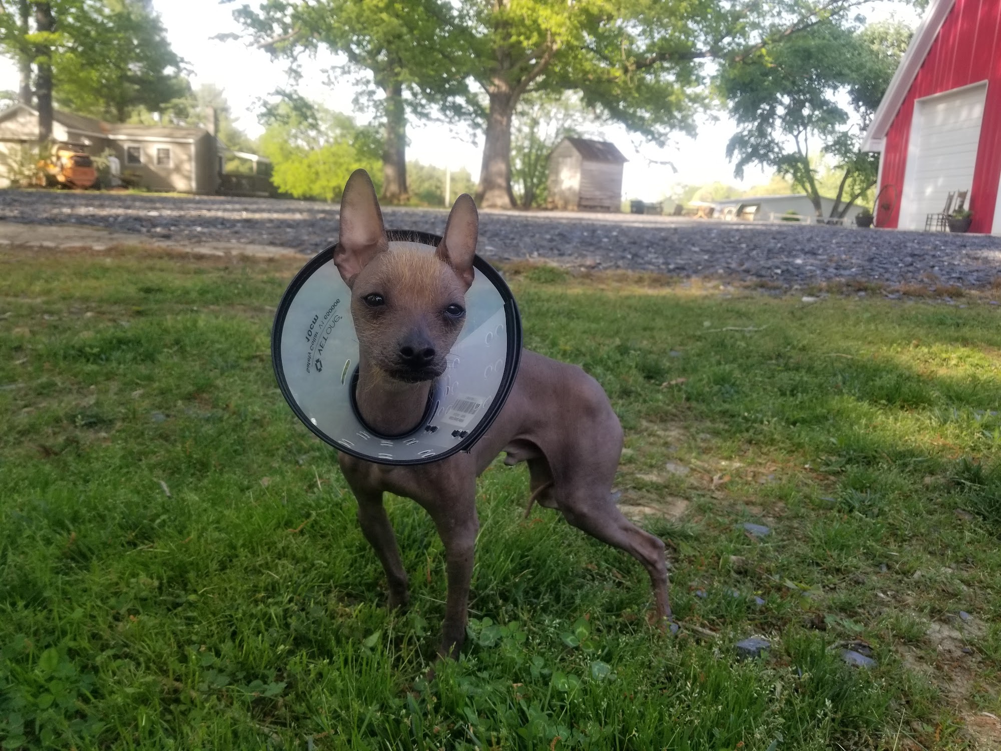 Cumberland Animal Hospital Cumberland