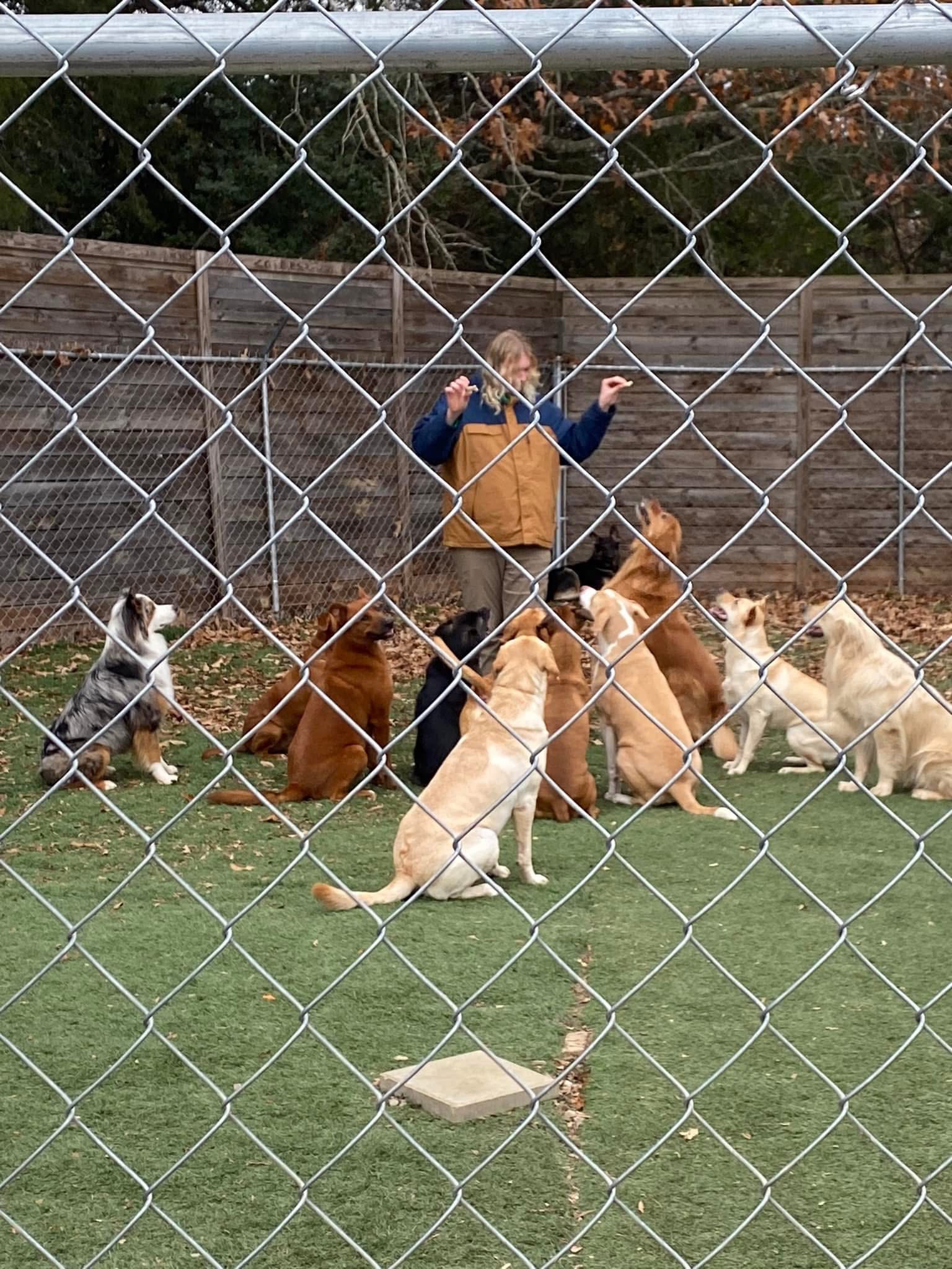 Mt. Hermon Animal Medical Center Danville