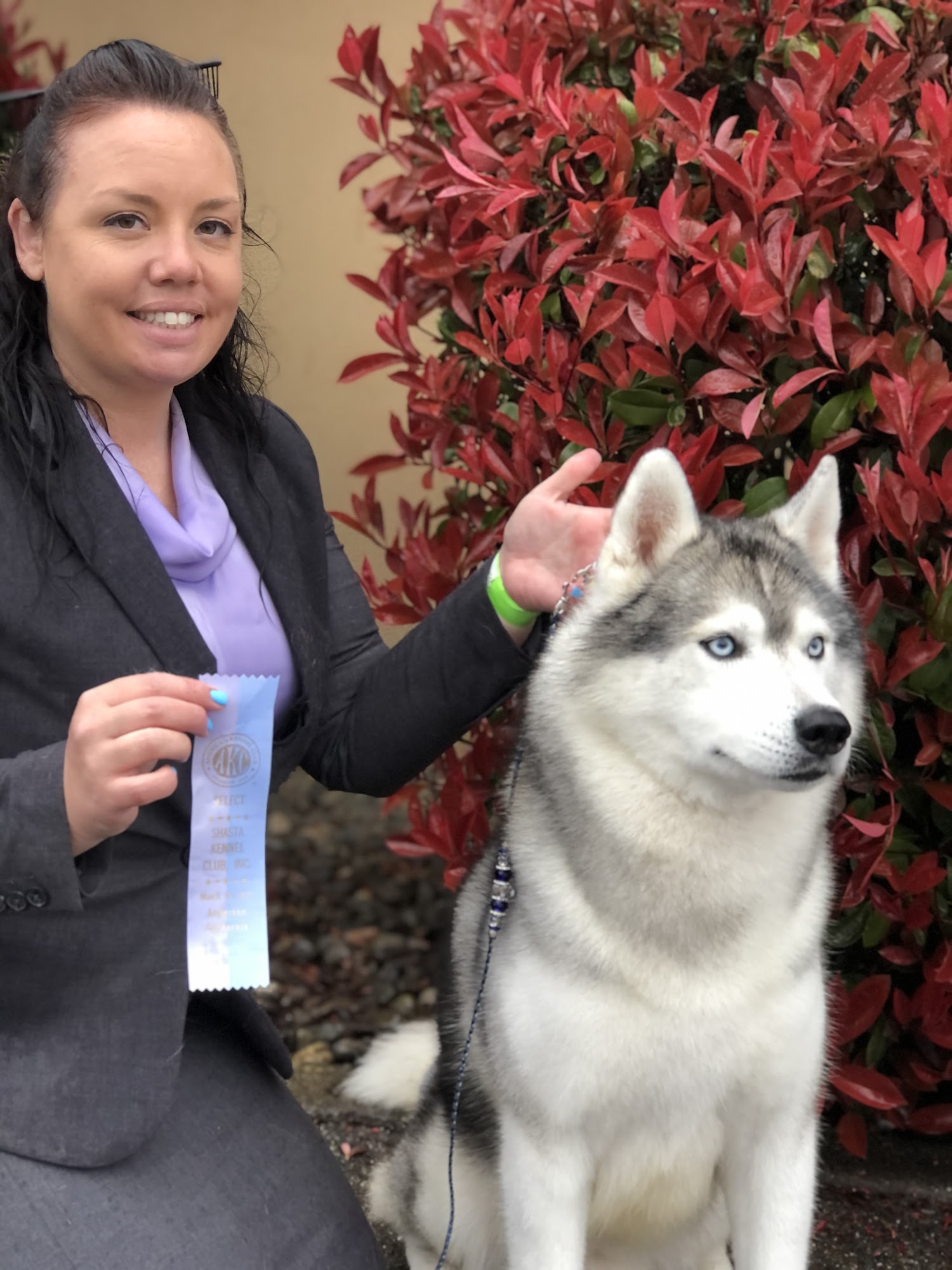 Danville Pet Resort, Inc. Danville