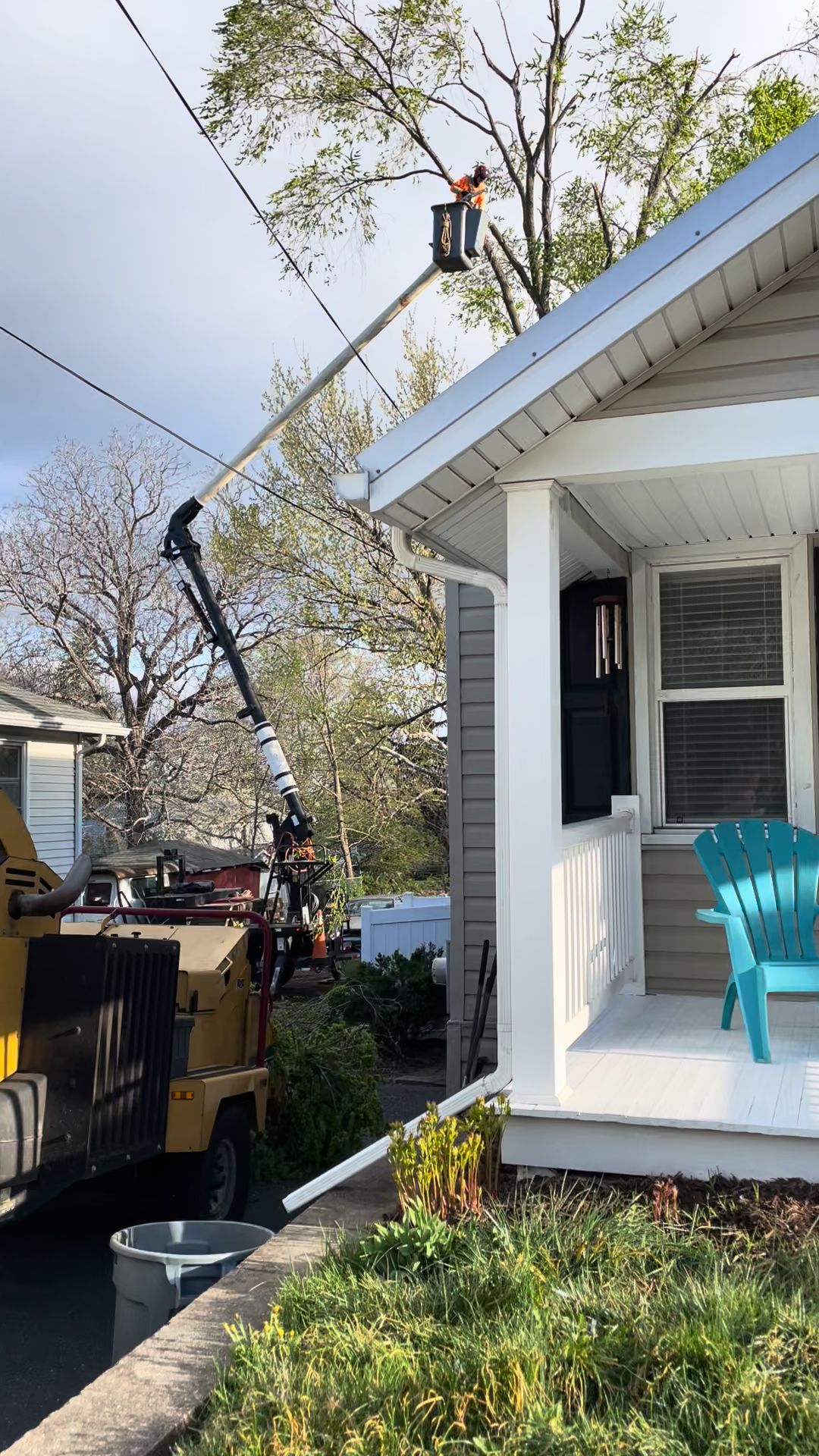 Shifflett John Tree Service