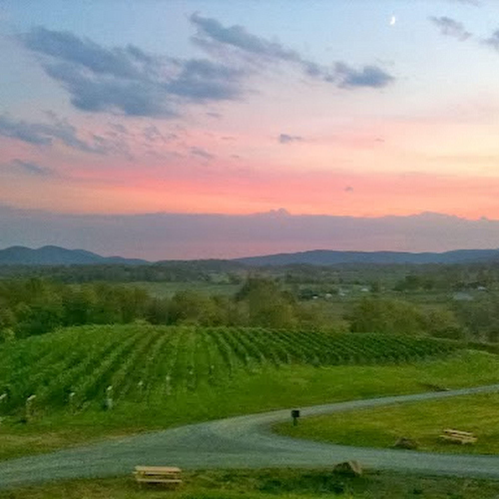 Delaplane Cellars Delaplane