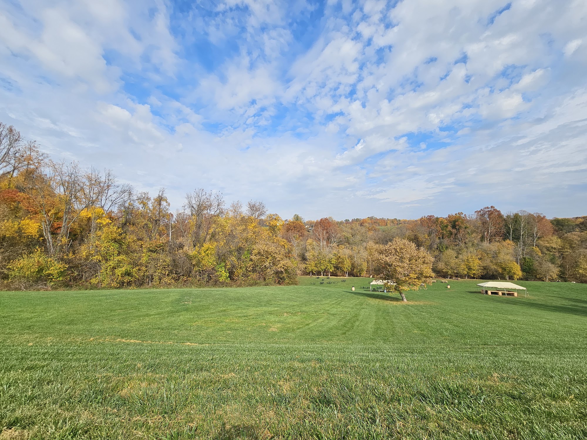 Three Fox Vineyards & Farm Brewery Delaplane