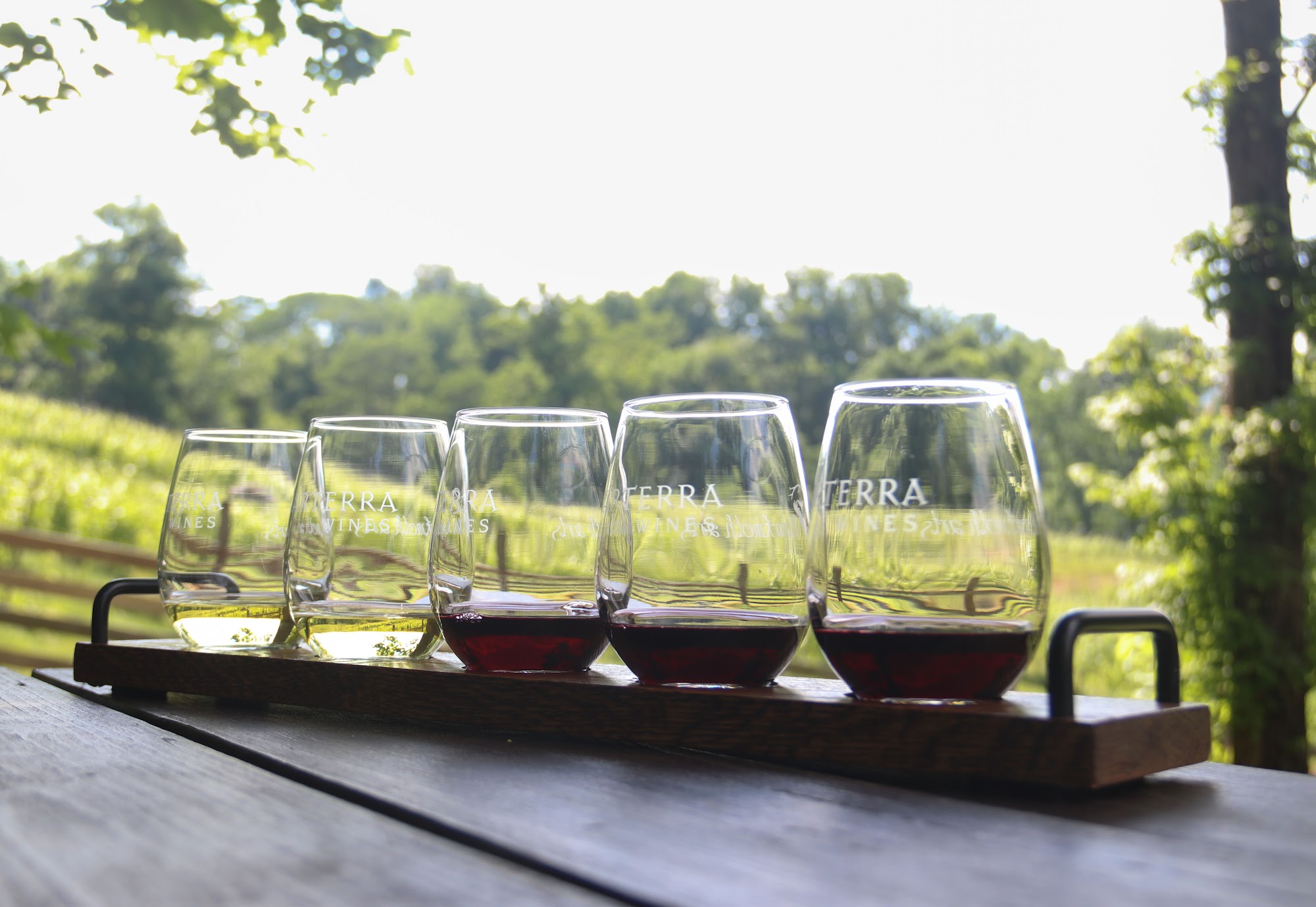 Arterra Wines Delaplane