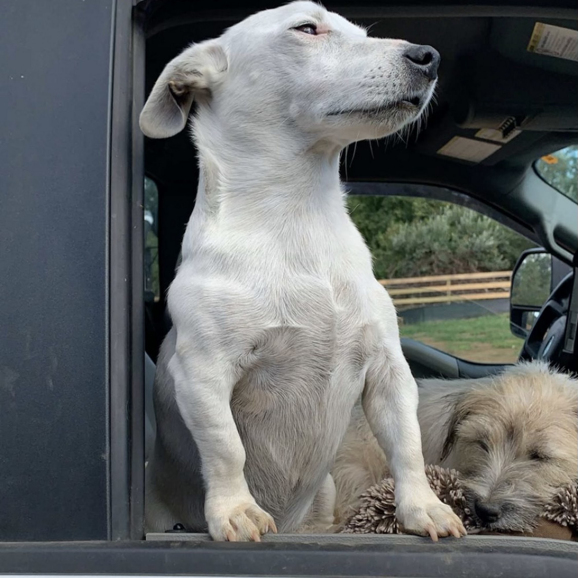 Elite Power & Energy Corporation Delaplane