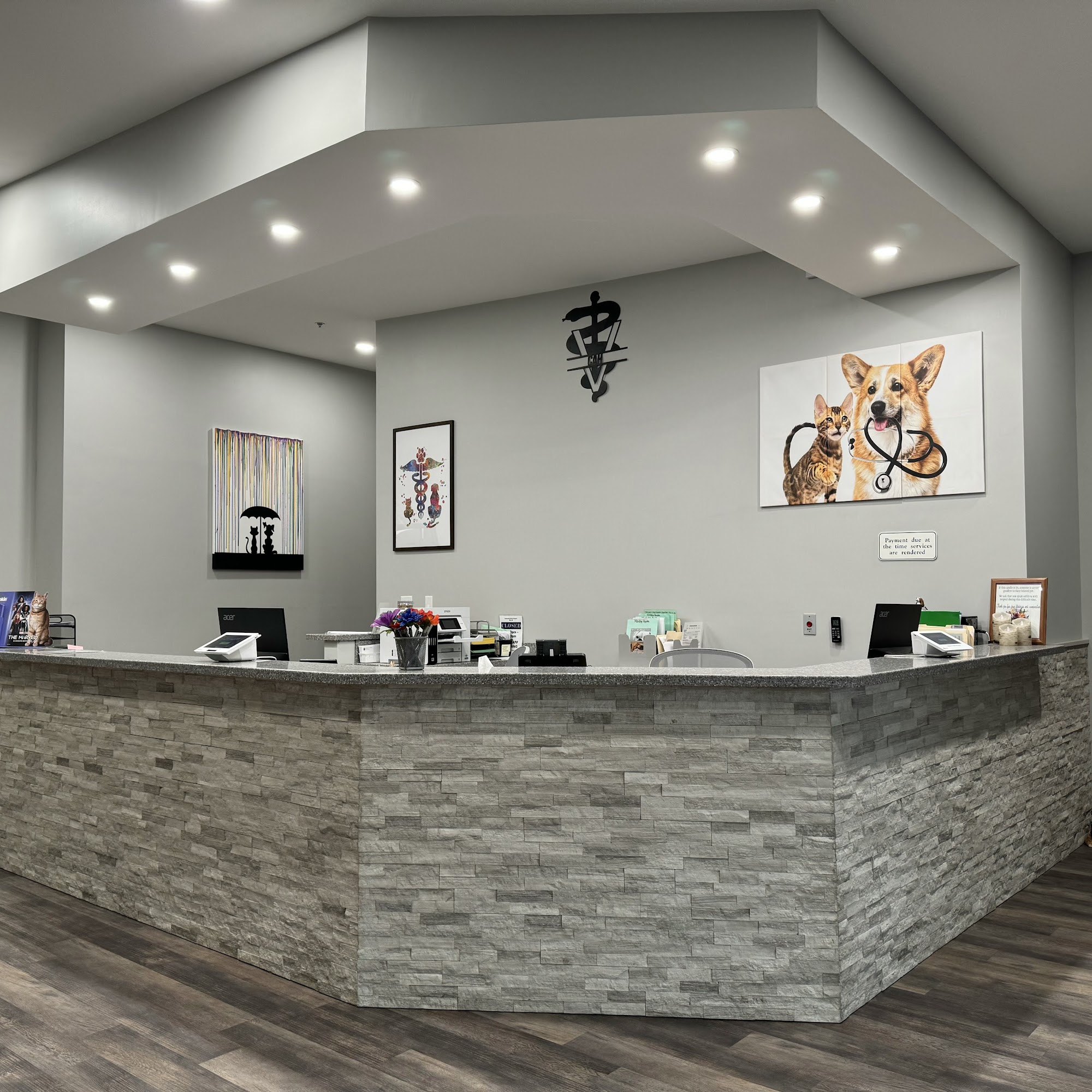 Community Animal Hospital Dublin