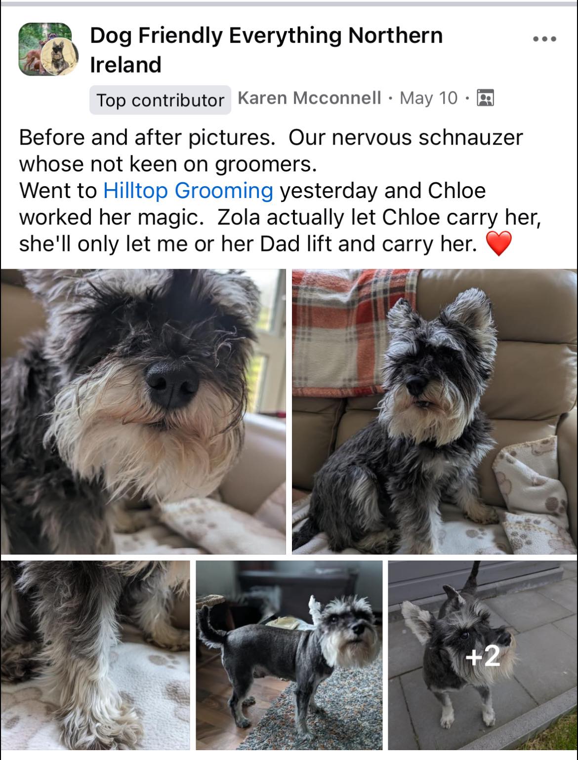 Hilltop Pet Grooming & Boarding