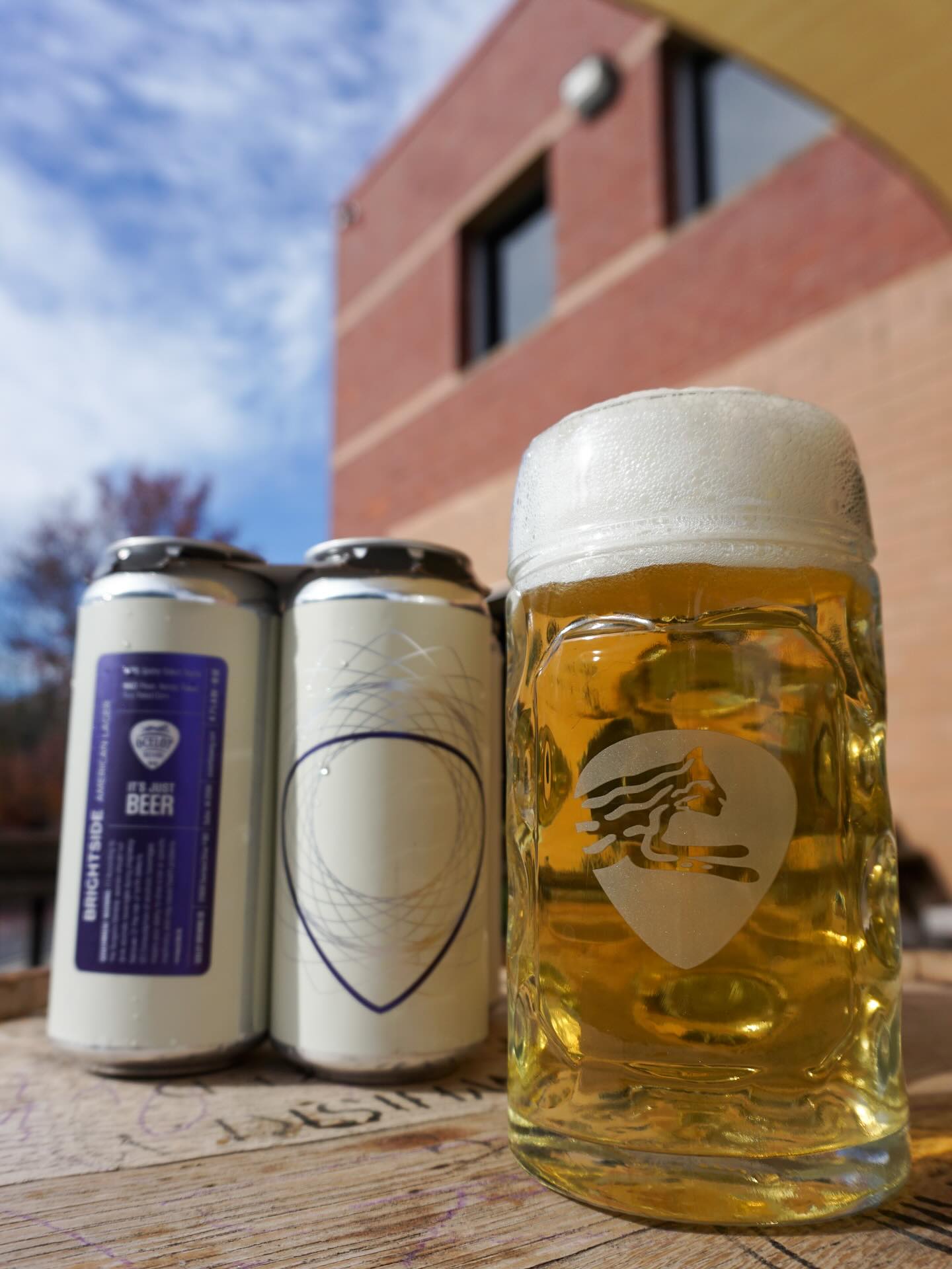 Ocelot Brewing Company Dulles