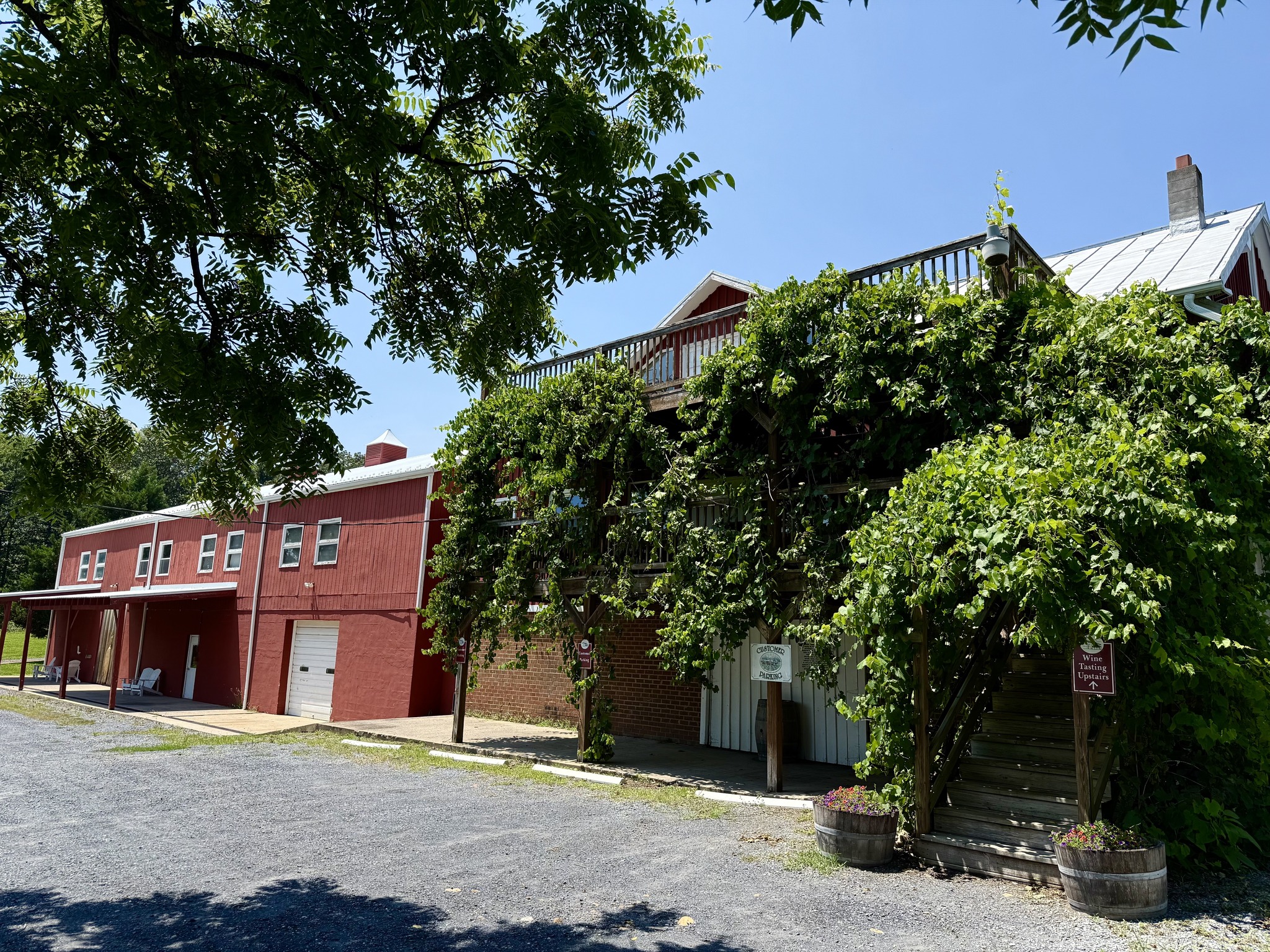 Shenandoah Vineyards Edinburg