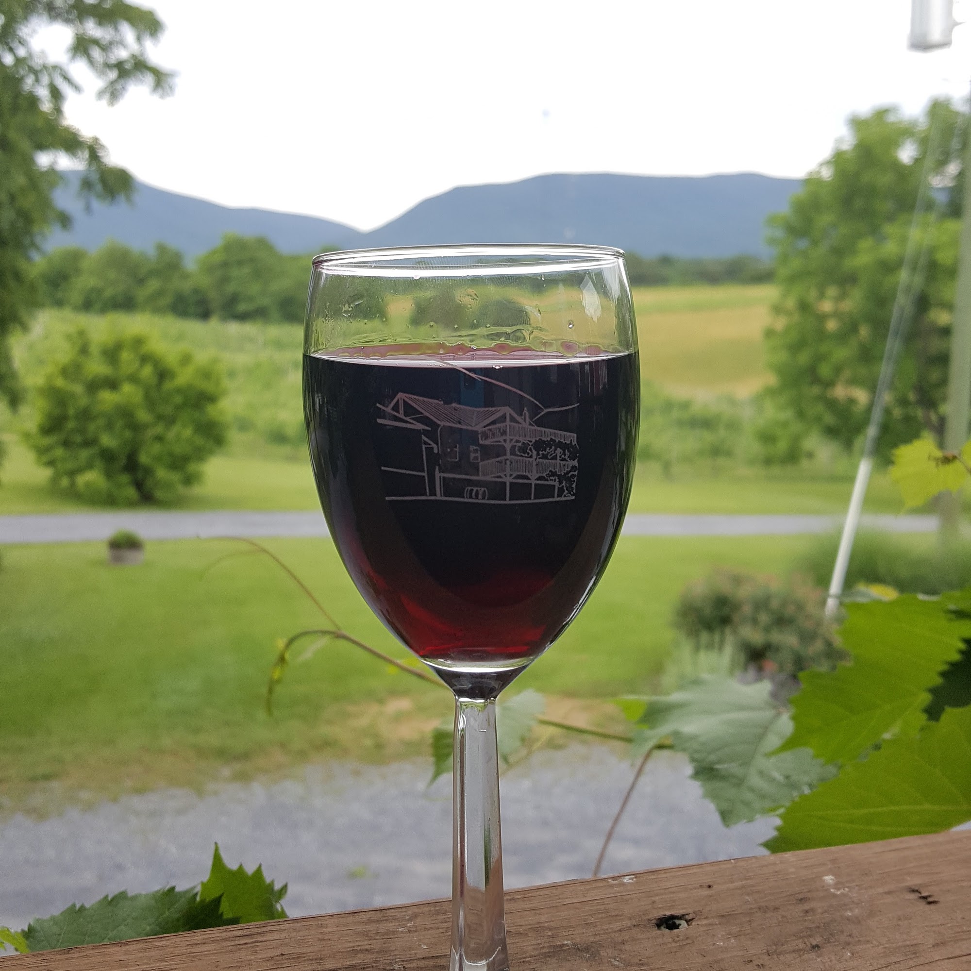 Shenandoah Vineyards Edinburg