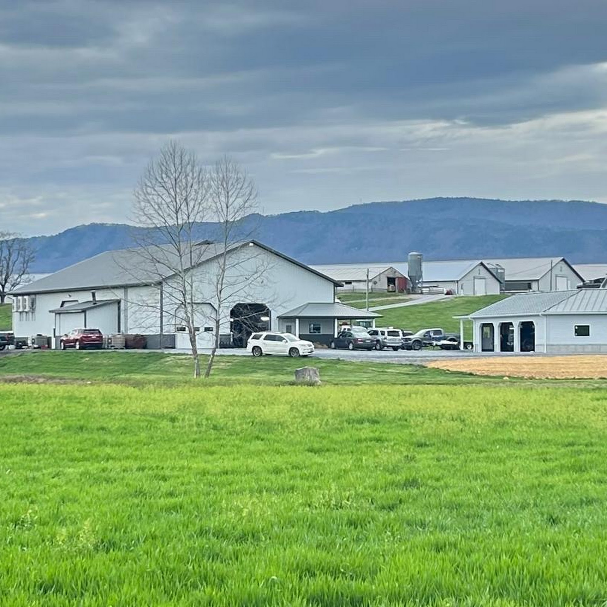 Bethel Bend Farm Elkton