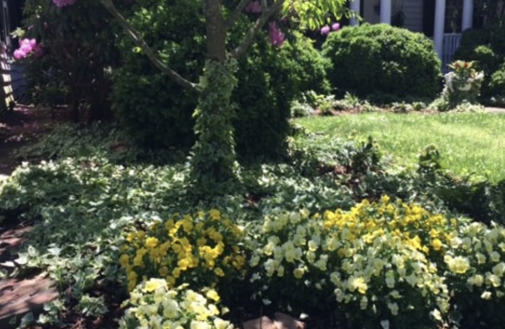 Photo credit: nextdoor