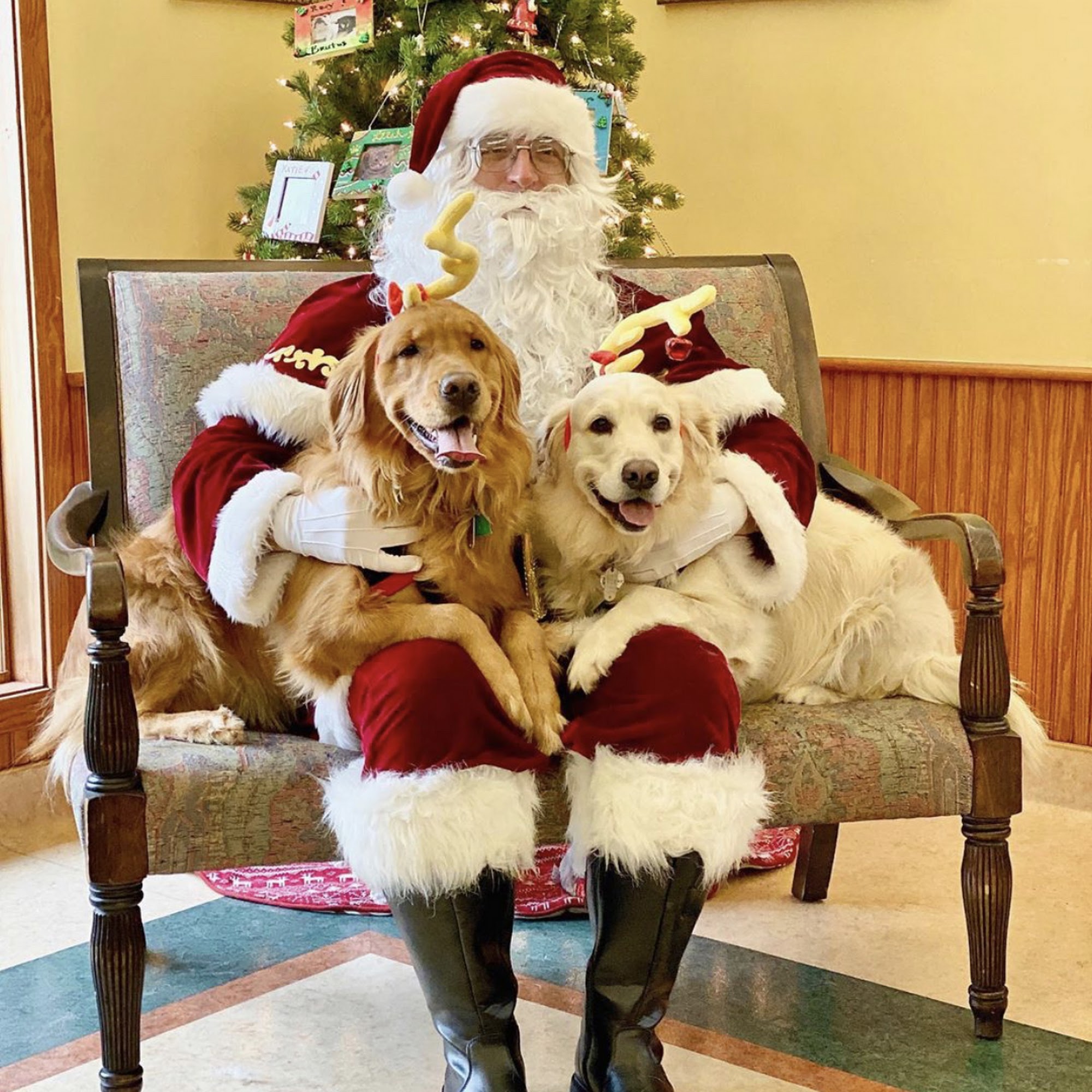 Companion Animal Clinic Fairfax Station