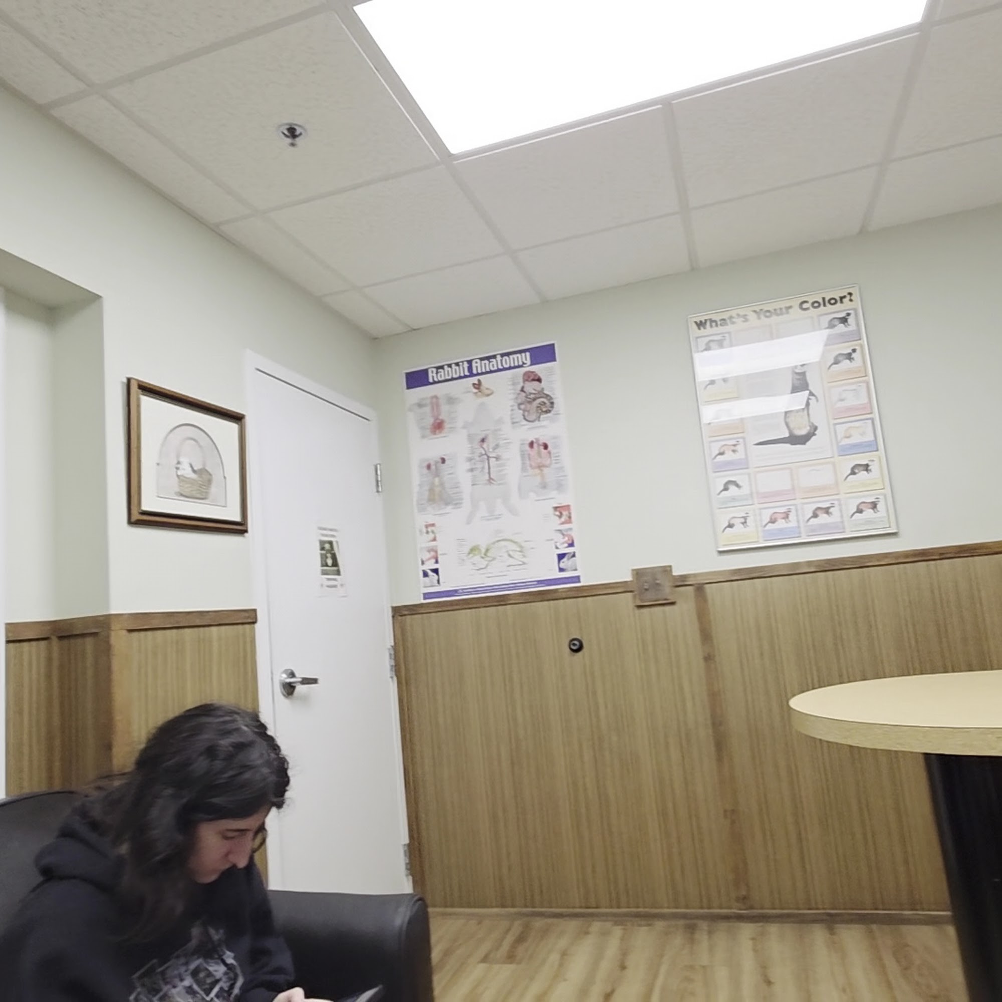 Stahl Exotic Animal Veterinary Services Fairfax