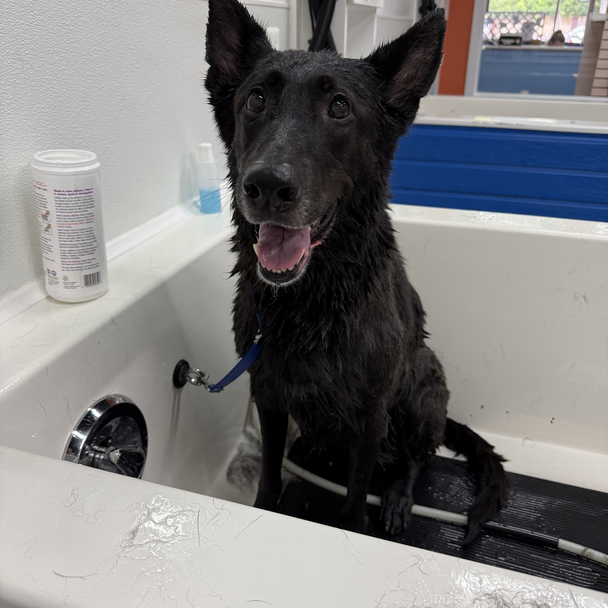 Bark 'N Bubbles Fairfax