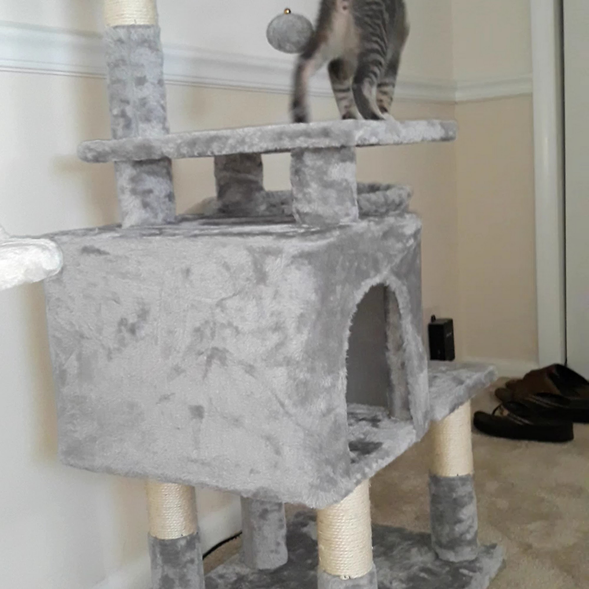 Fairfax County (Michael R. Frey) Animal Shelter Fairfax