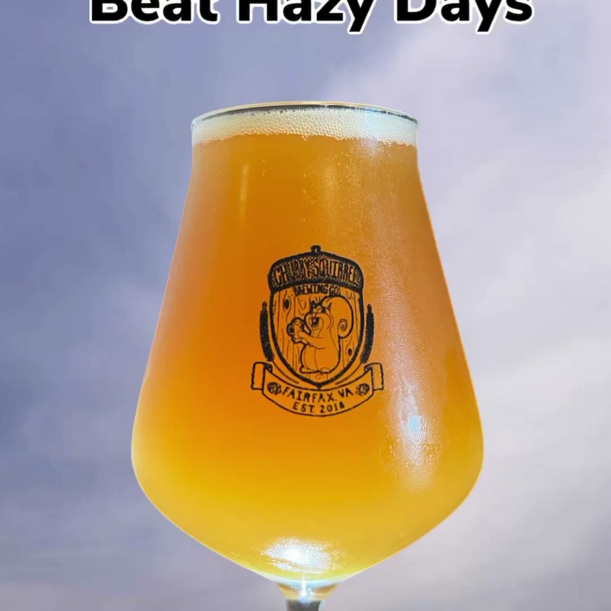 Chubby Squirrel Brewing Company Fairfax