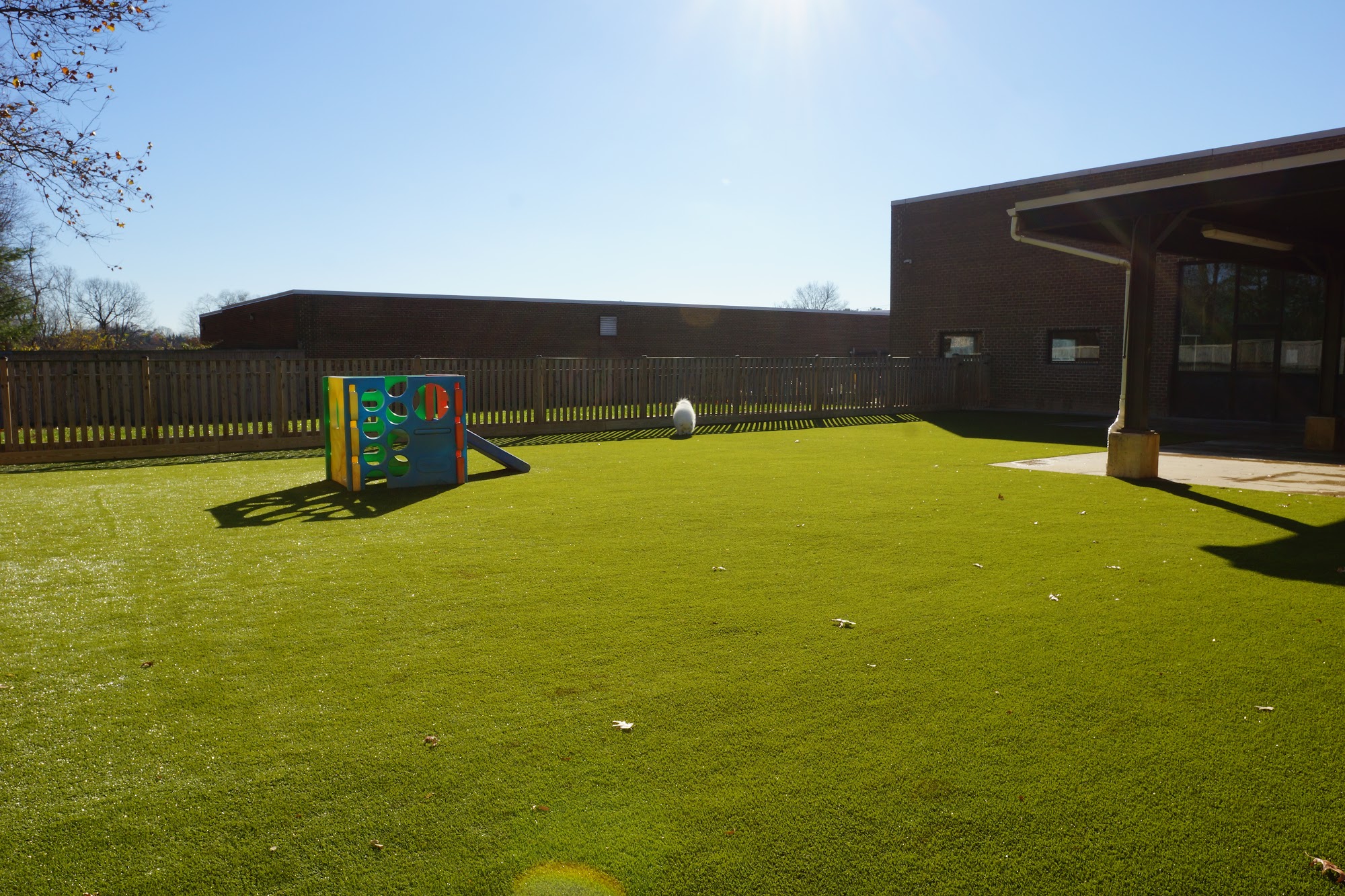 Affectionate Pet Care Fairfax