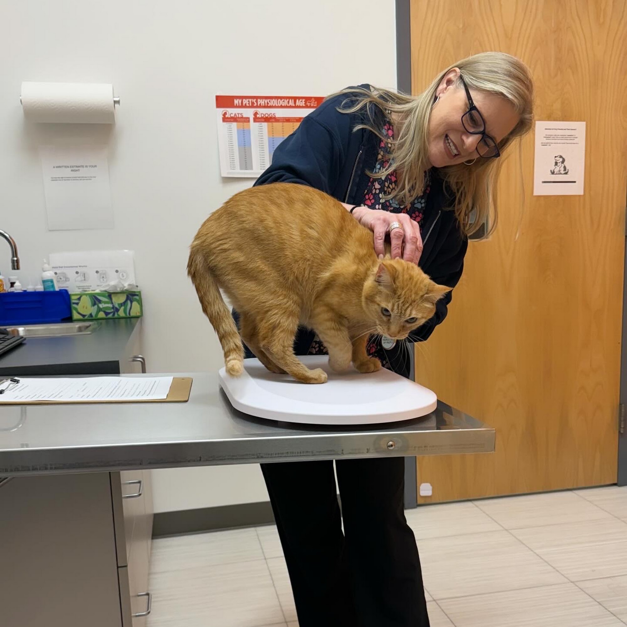 Fairfax Ridge Animal Hospital Fairfax