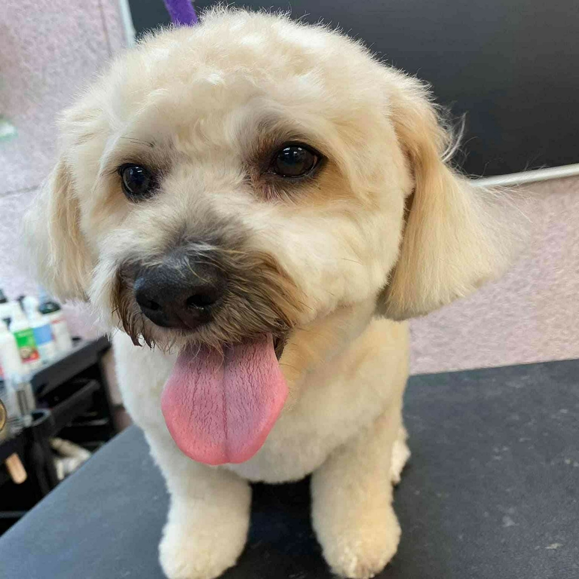 Barkley Square Falls Church