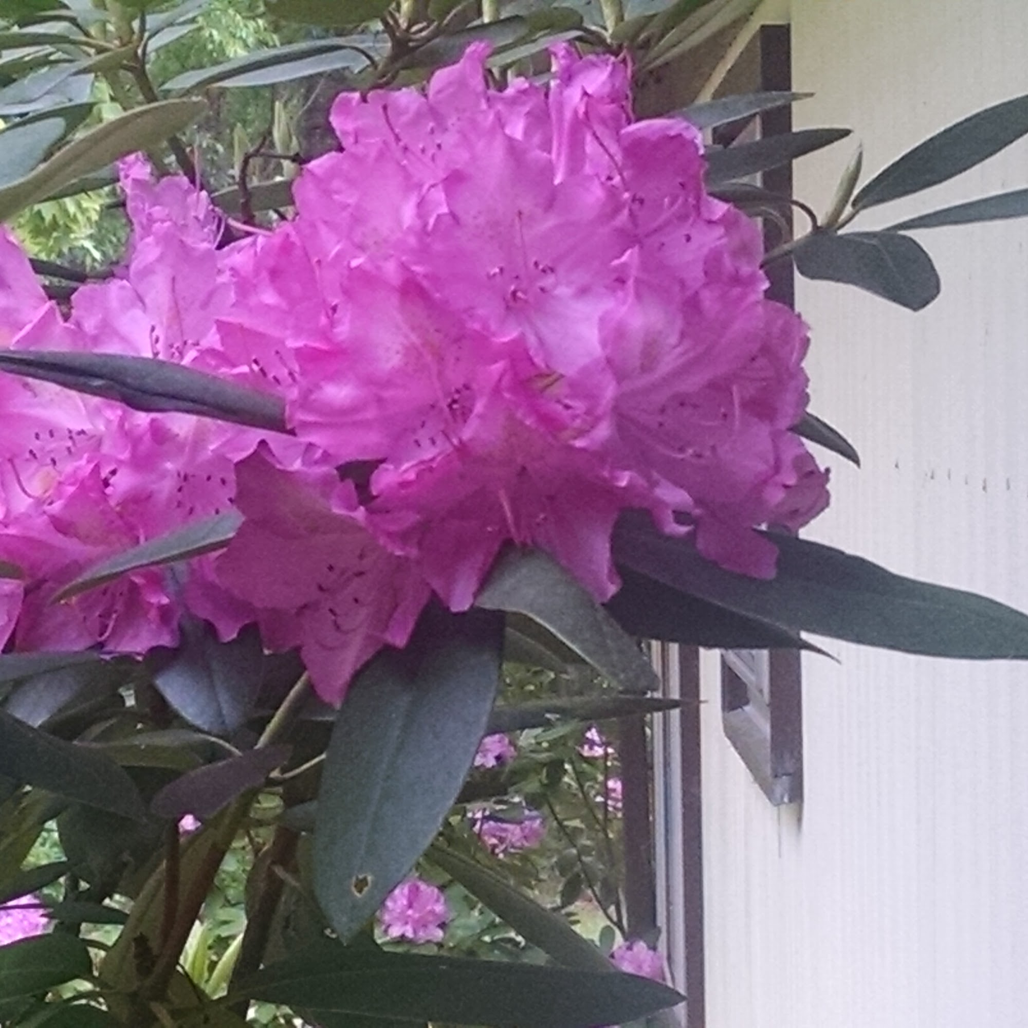 Drew's Pump & Plumbing