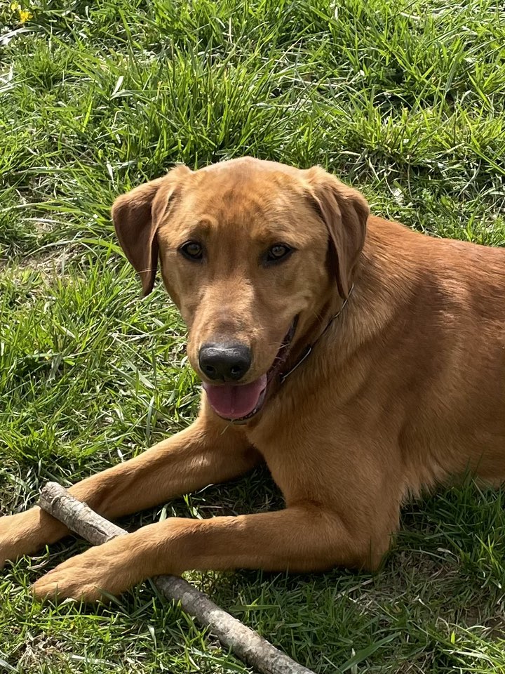 Little River Farm, LLC Floyd