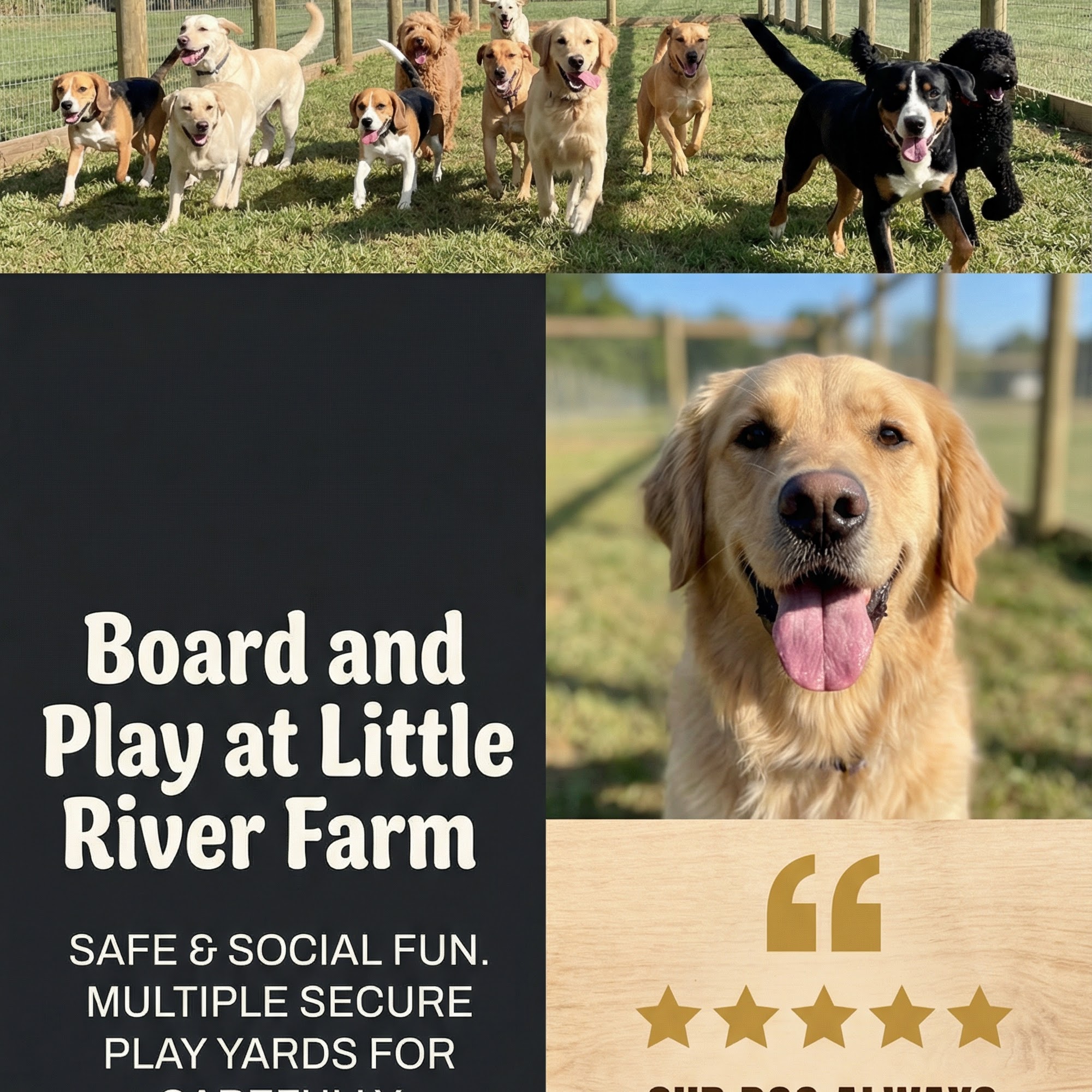 Little River Farm, LLC Floyd