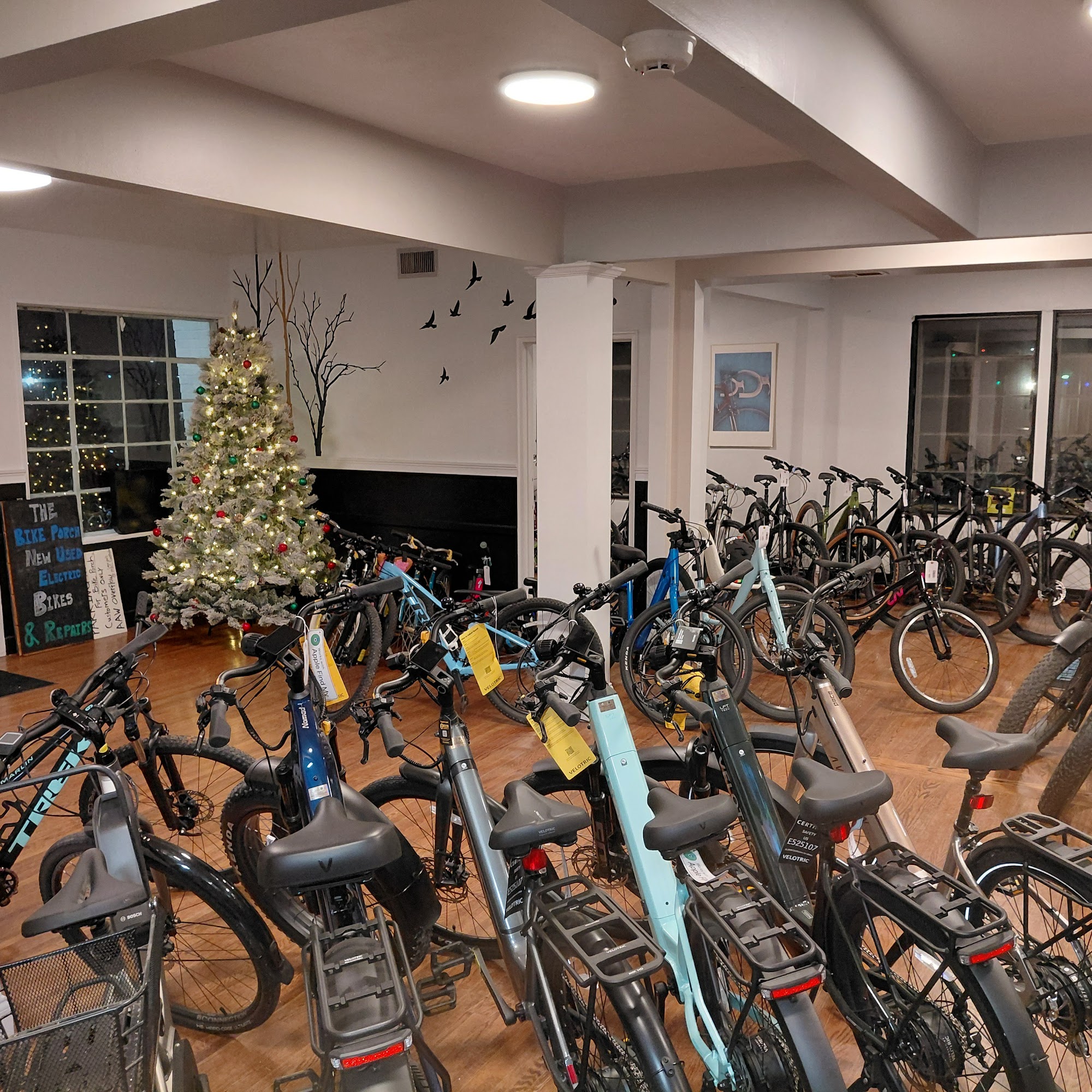 The Bike Porch Forest
