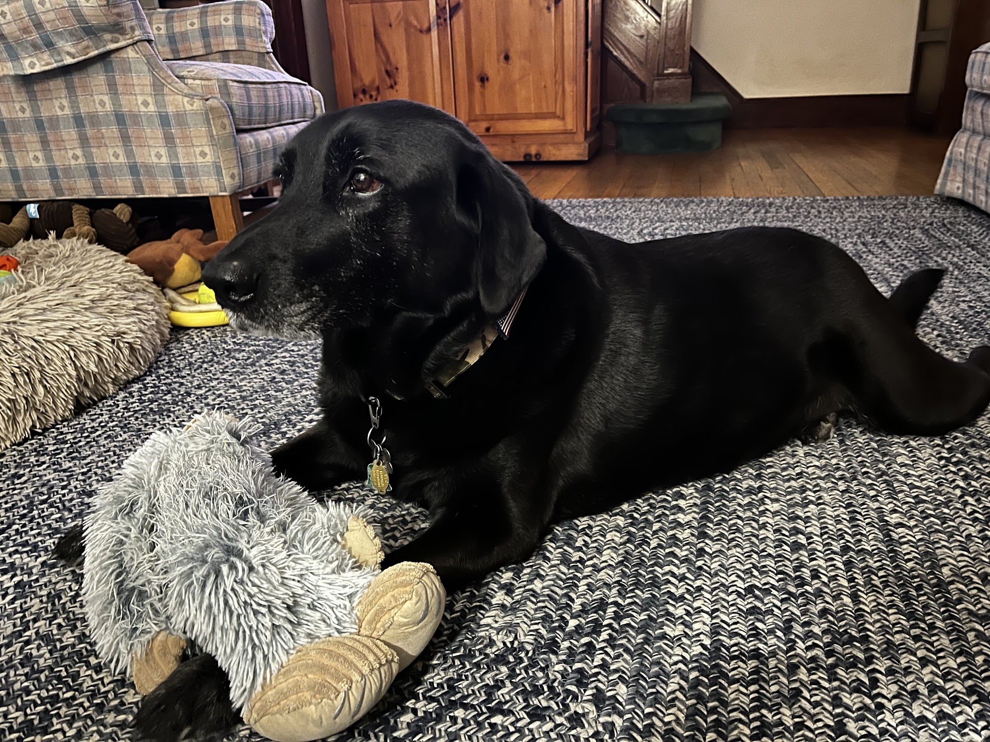 Southampton Veterinary Clinic Franklin