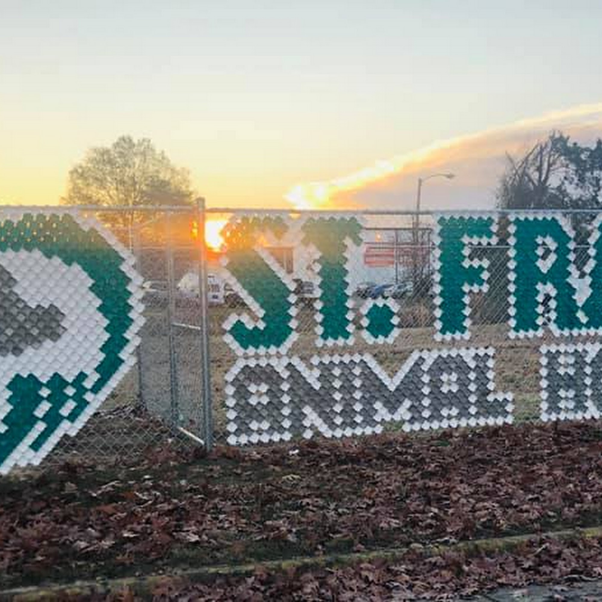 St. Francis Animal Hospital Fredericksburg