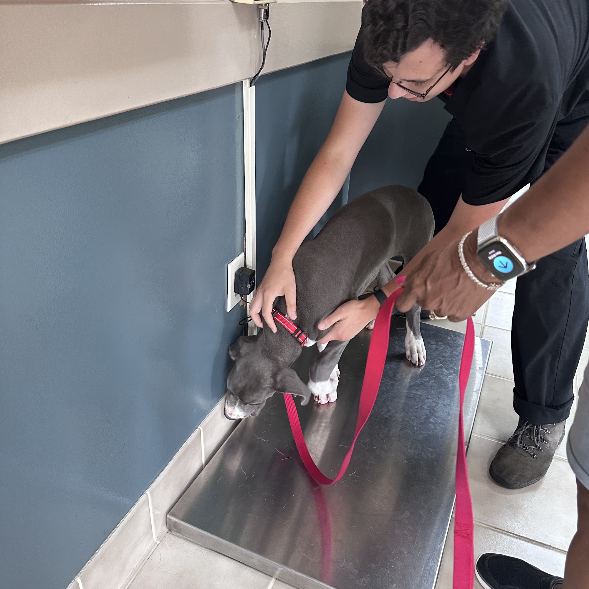 England Run Veterinary Clinic Fredericksburg