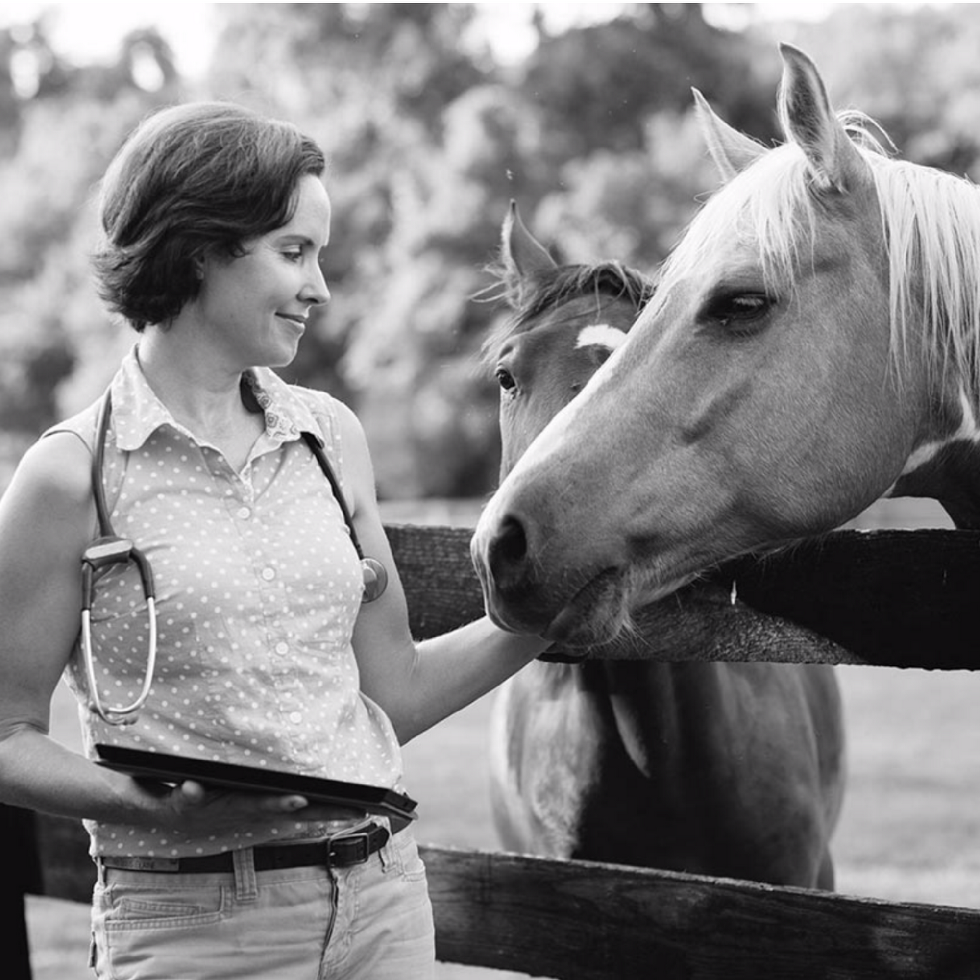 Olde Towne Equine - Dr. Kate Moga DVM, ACCC/AVCA Fredericksburg