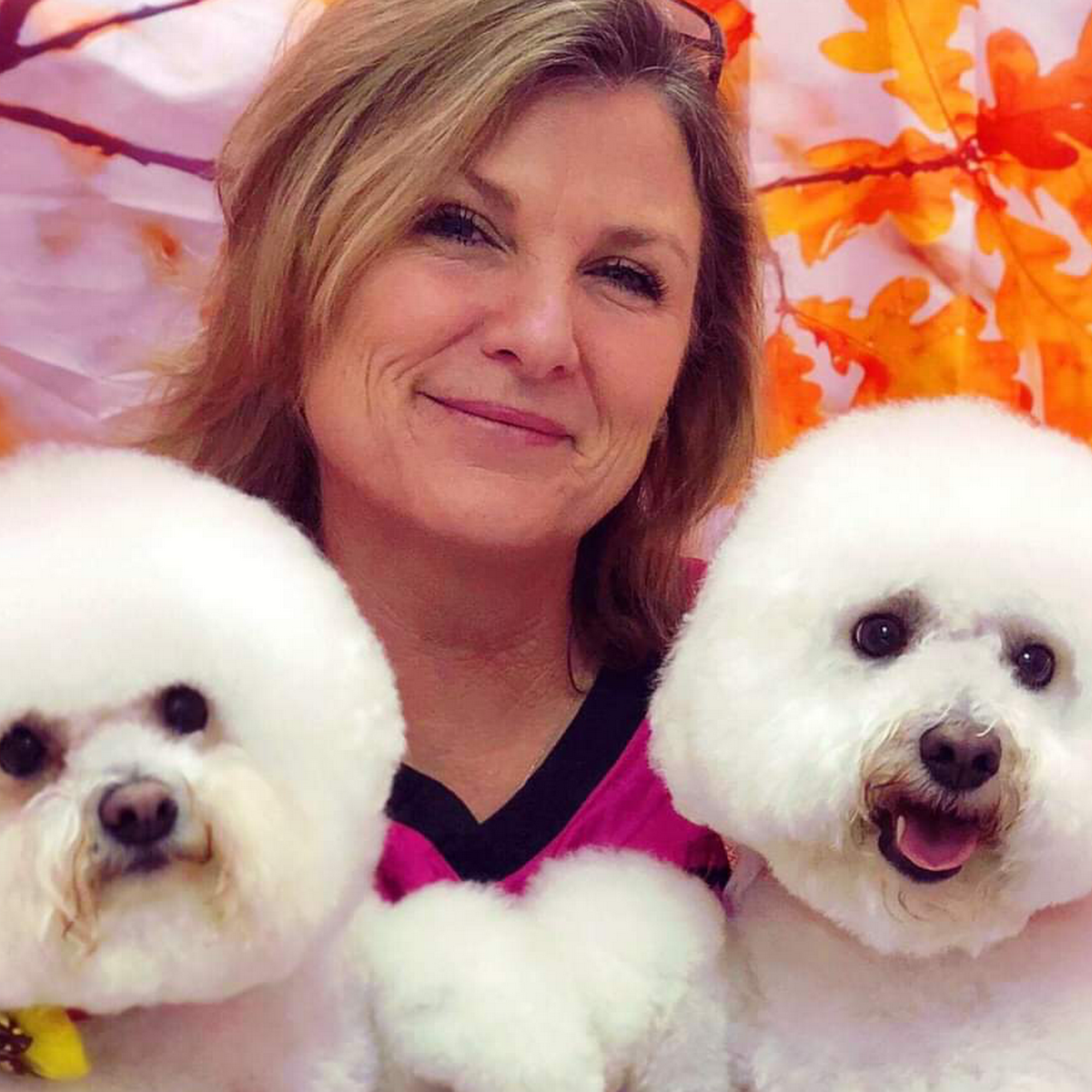 All Fur Pet Grooming Fredericksburg