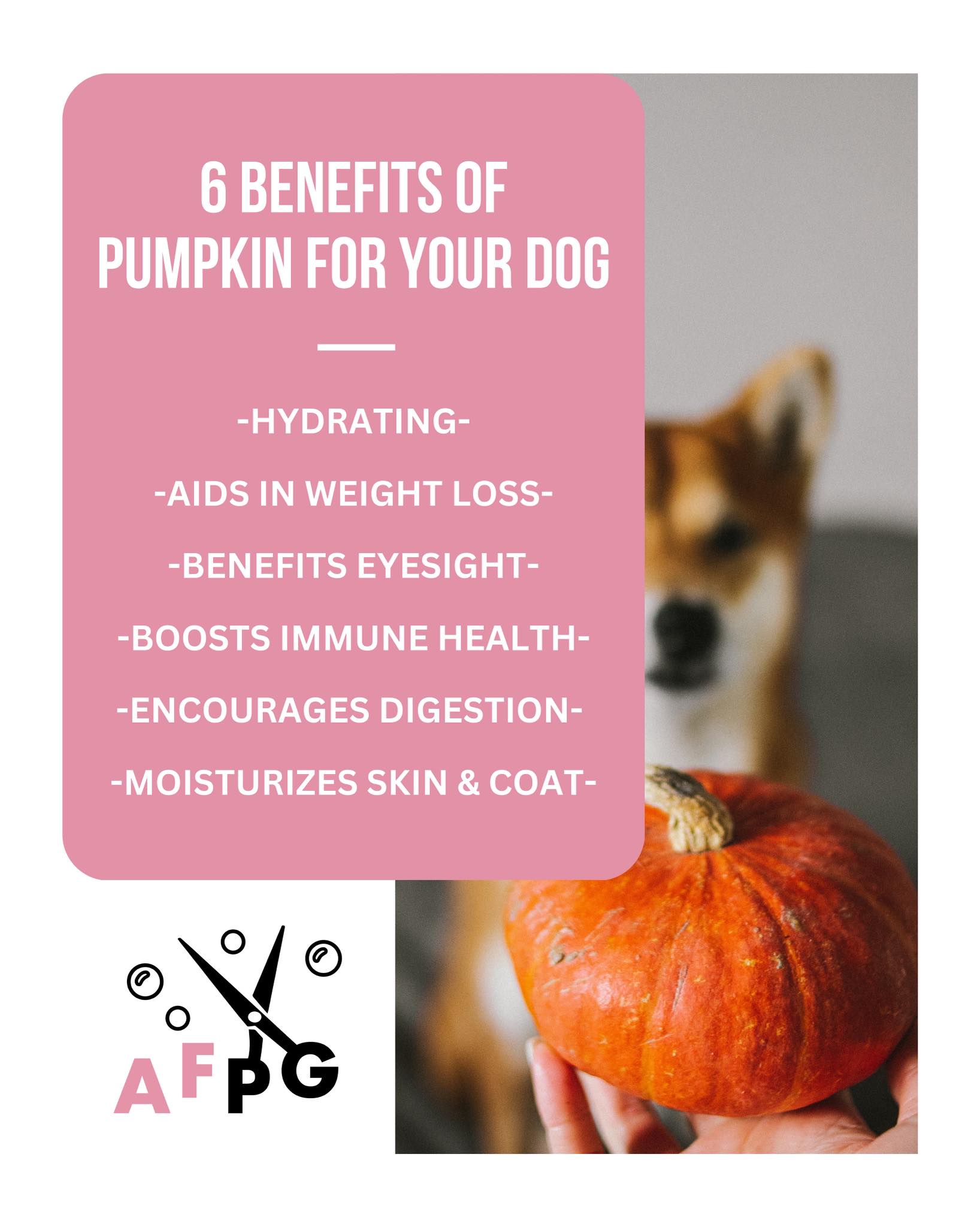 All Fur Pet Grooming LLC Fredericksburg