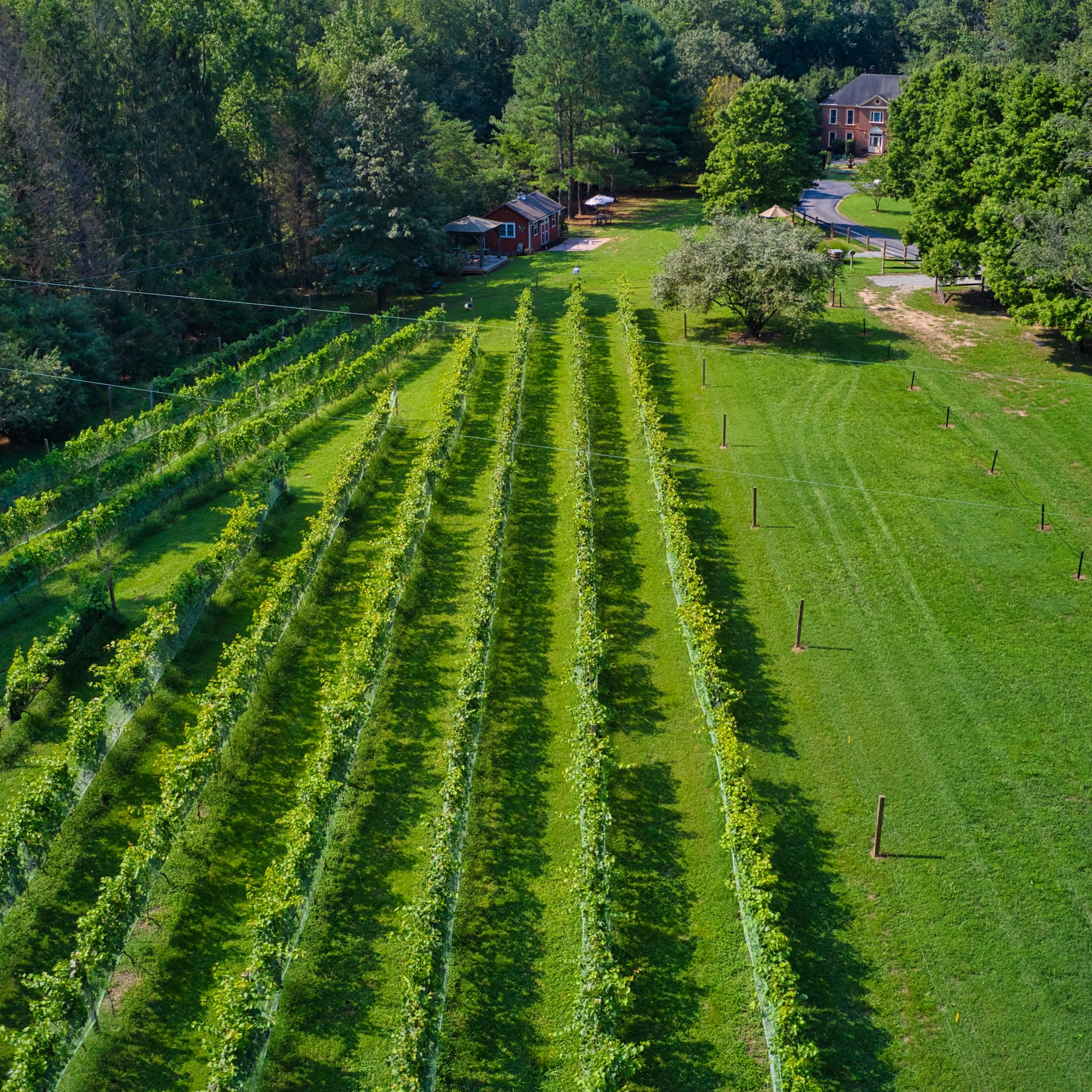 Eden Try Winery
