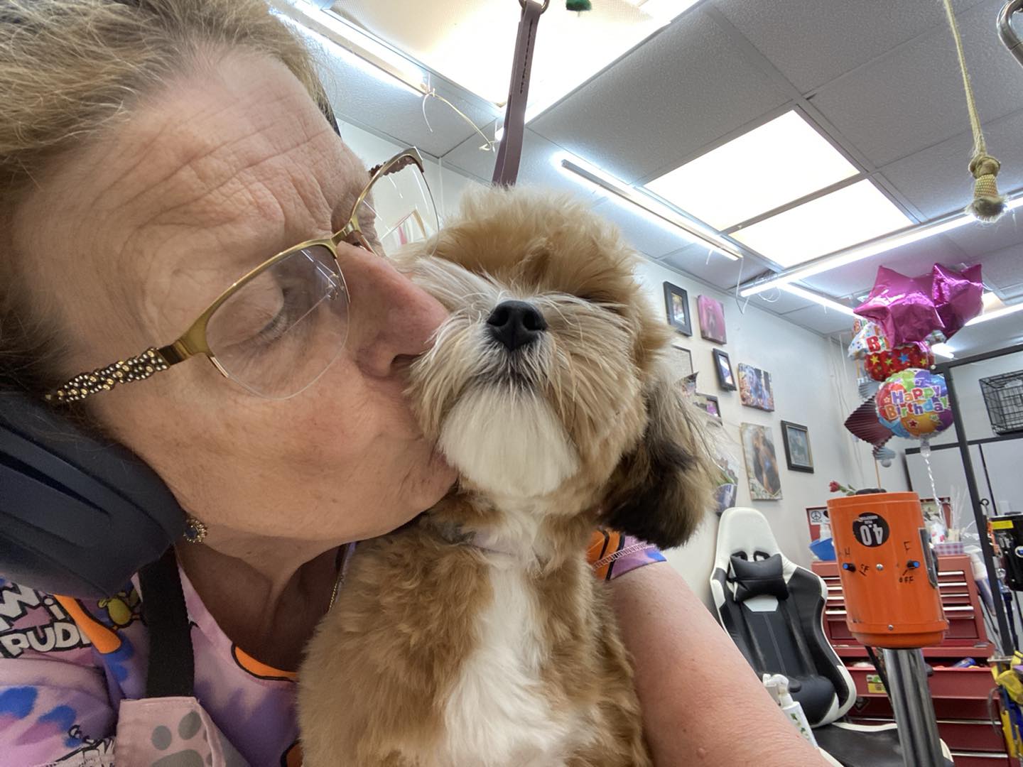 Shear Elegance Pet Boutique Front Royal