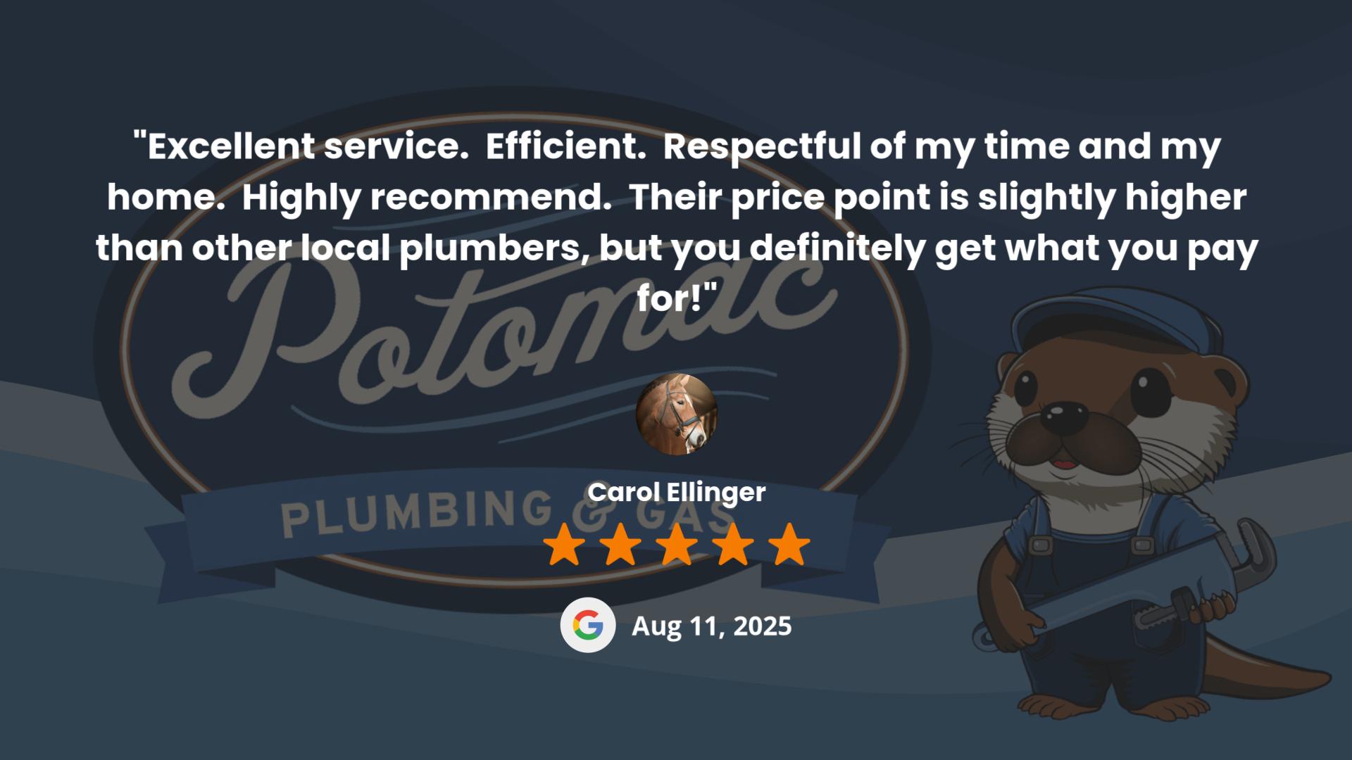 Potomac Plumbing & Gas Inc.